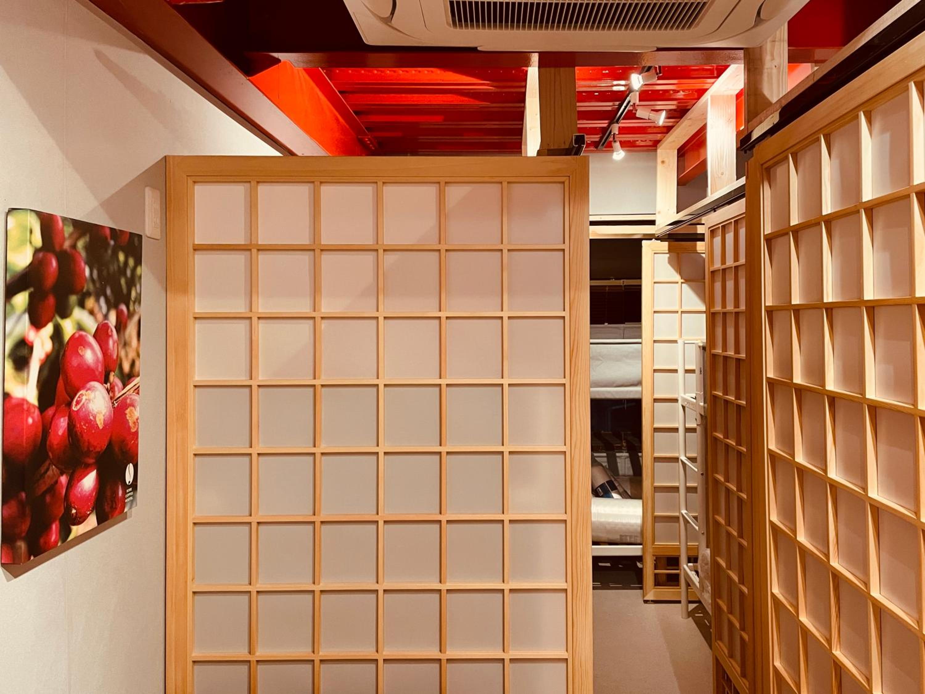Bunk Bed in Mixed Dormitory Room   photo 1