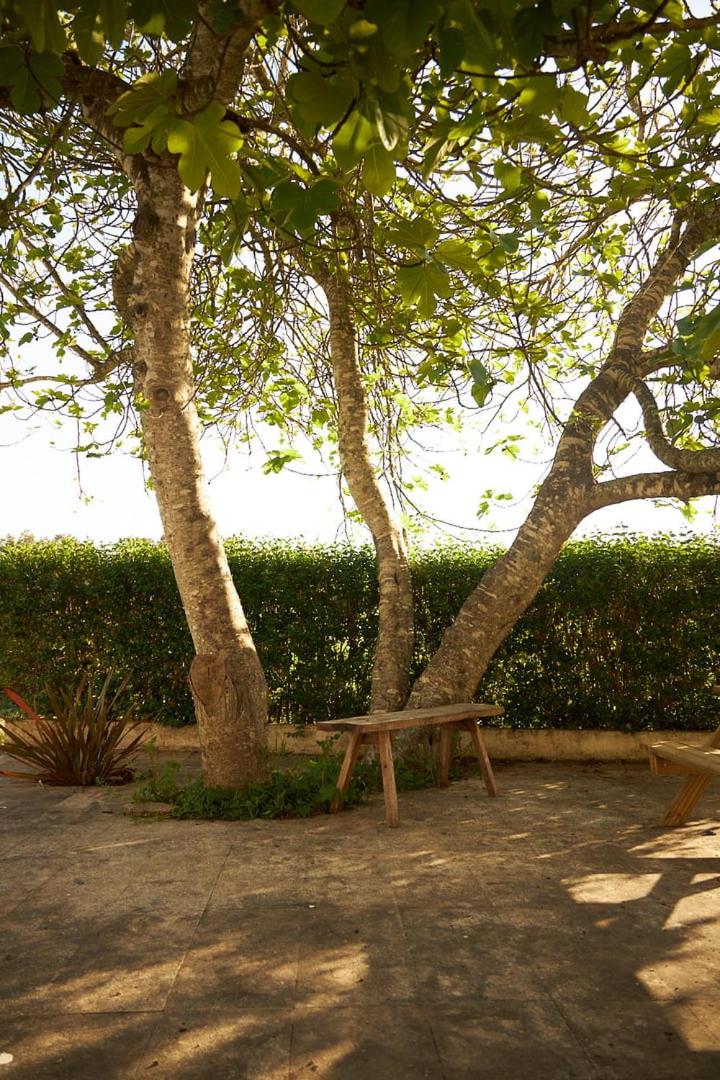 Villa photo 3