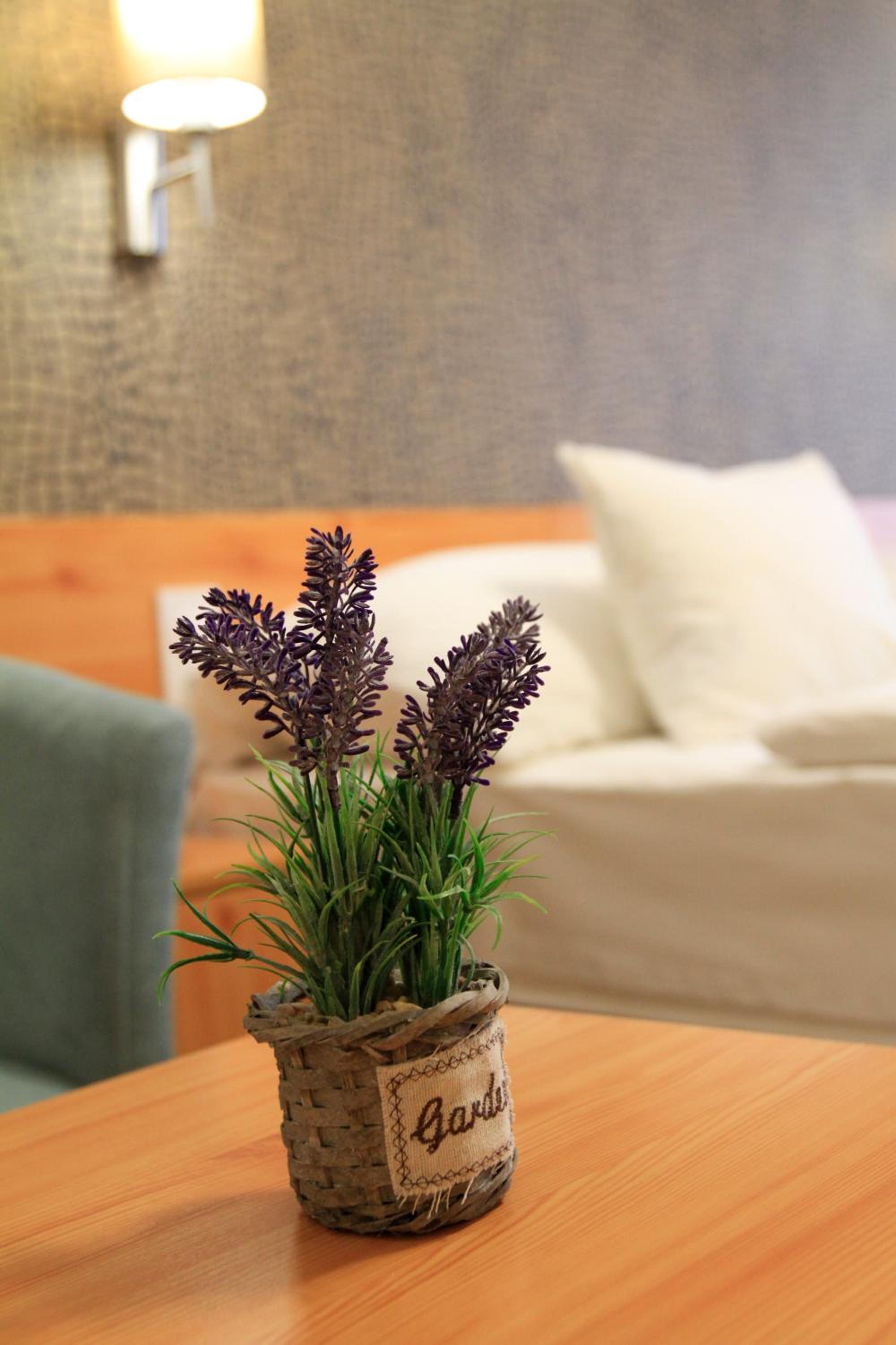 Quadruple Room - Photo 14