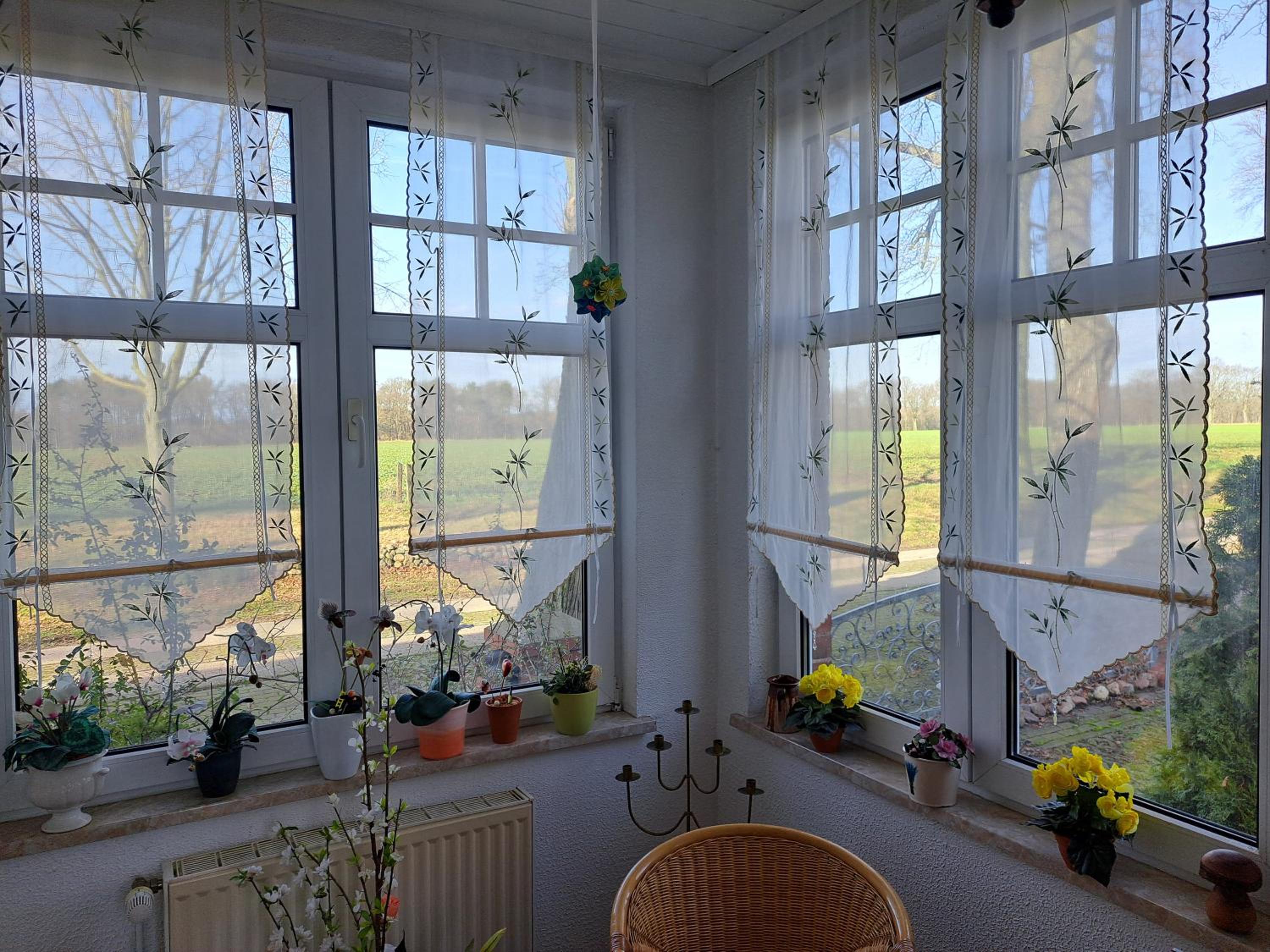 Three-Bedroom House photo 2