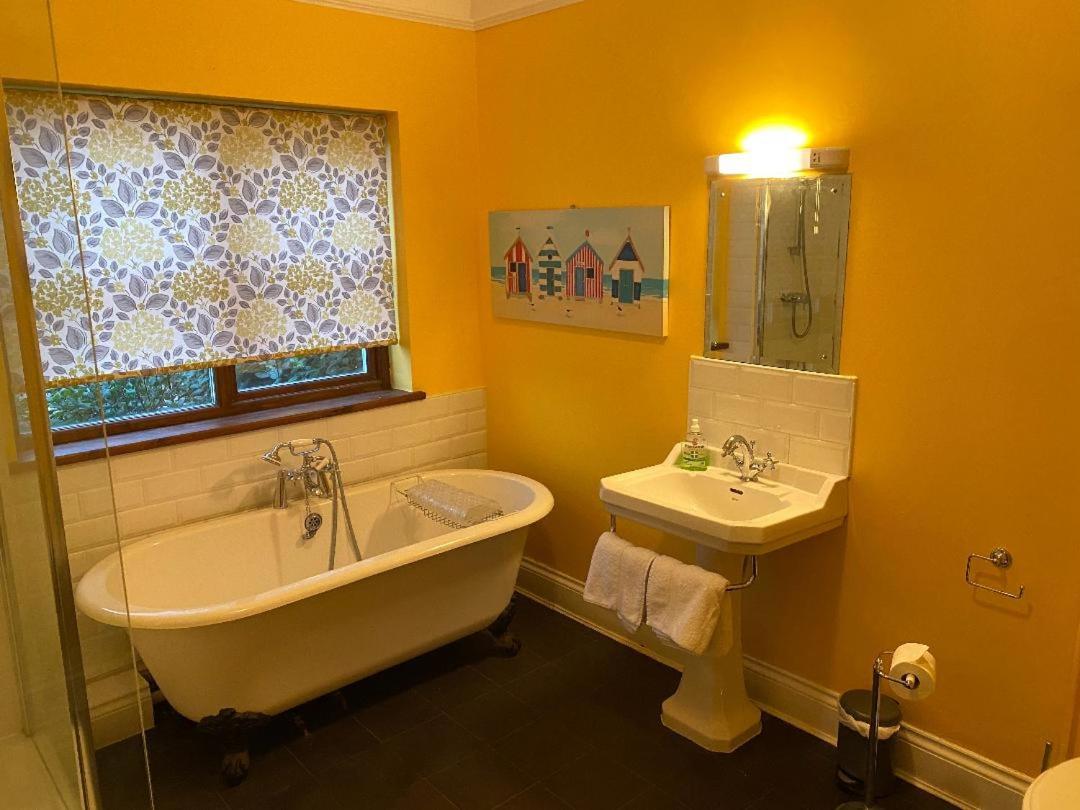 Superior King Room photo 2
