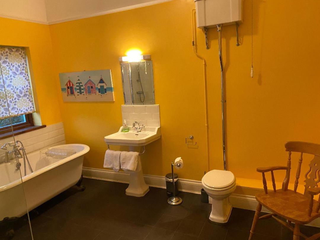 Superior King Room photo 3