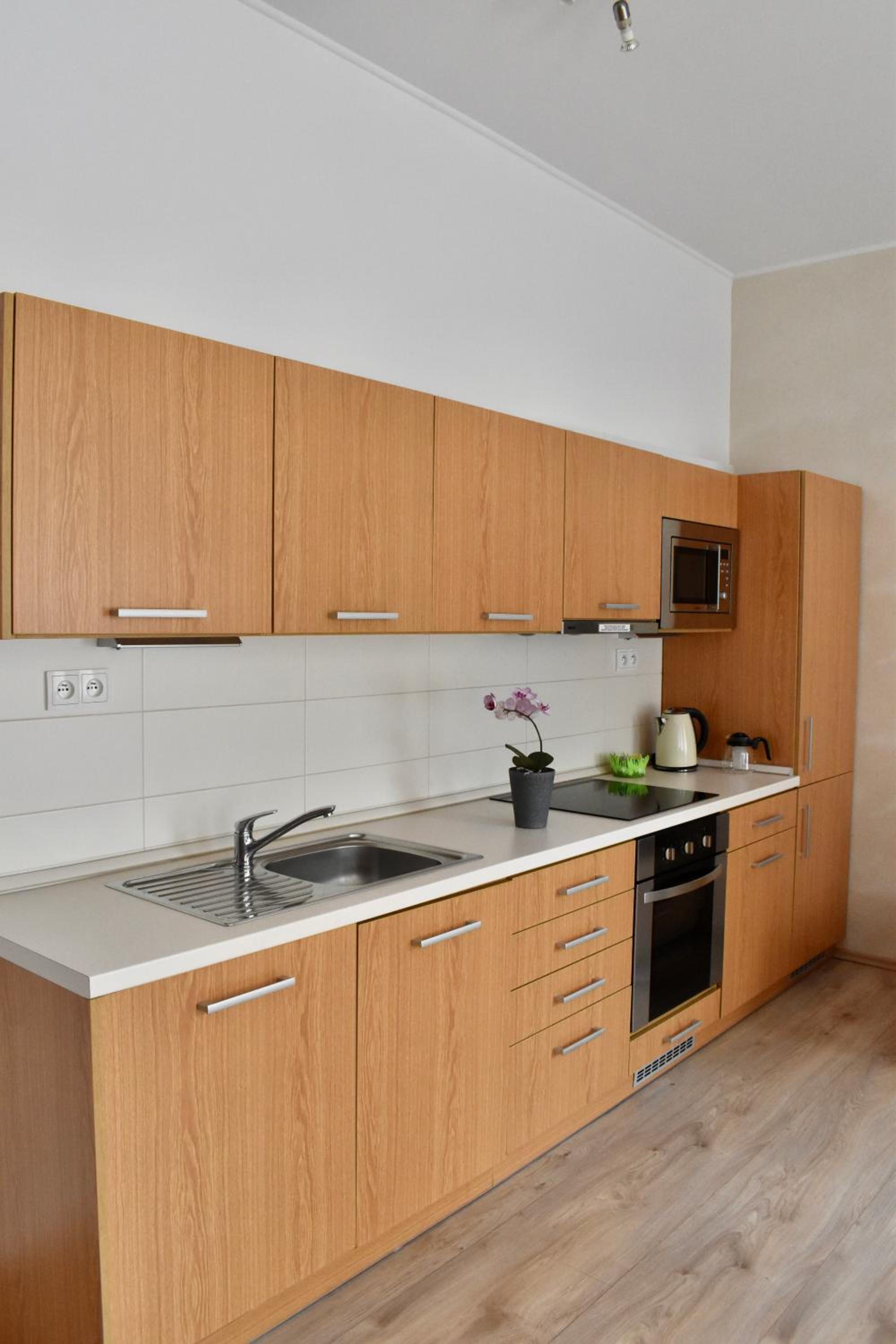Superior Apartment photo 3