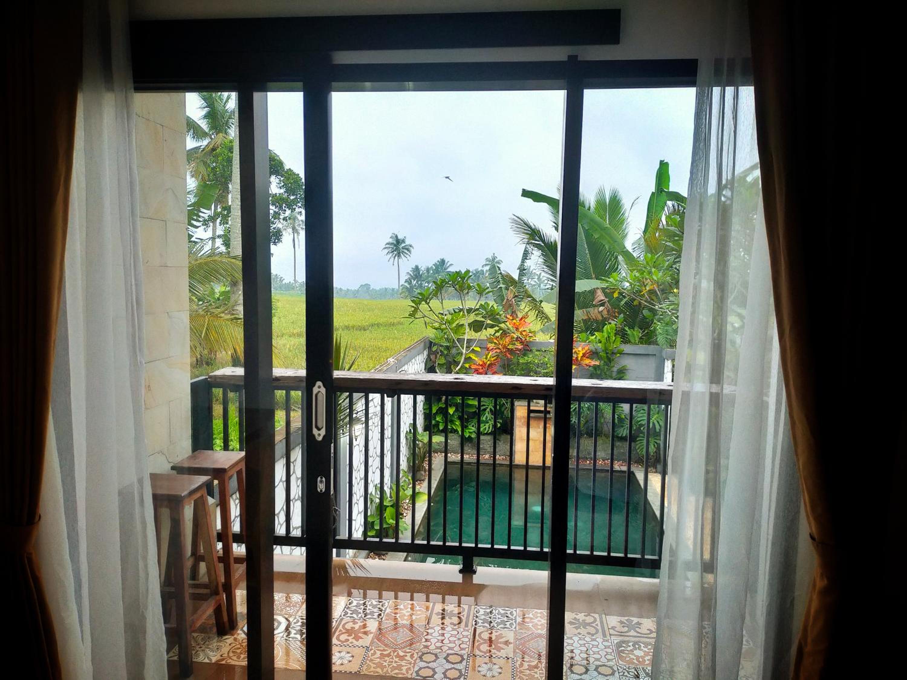 Double Room with Pool View photo 2