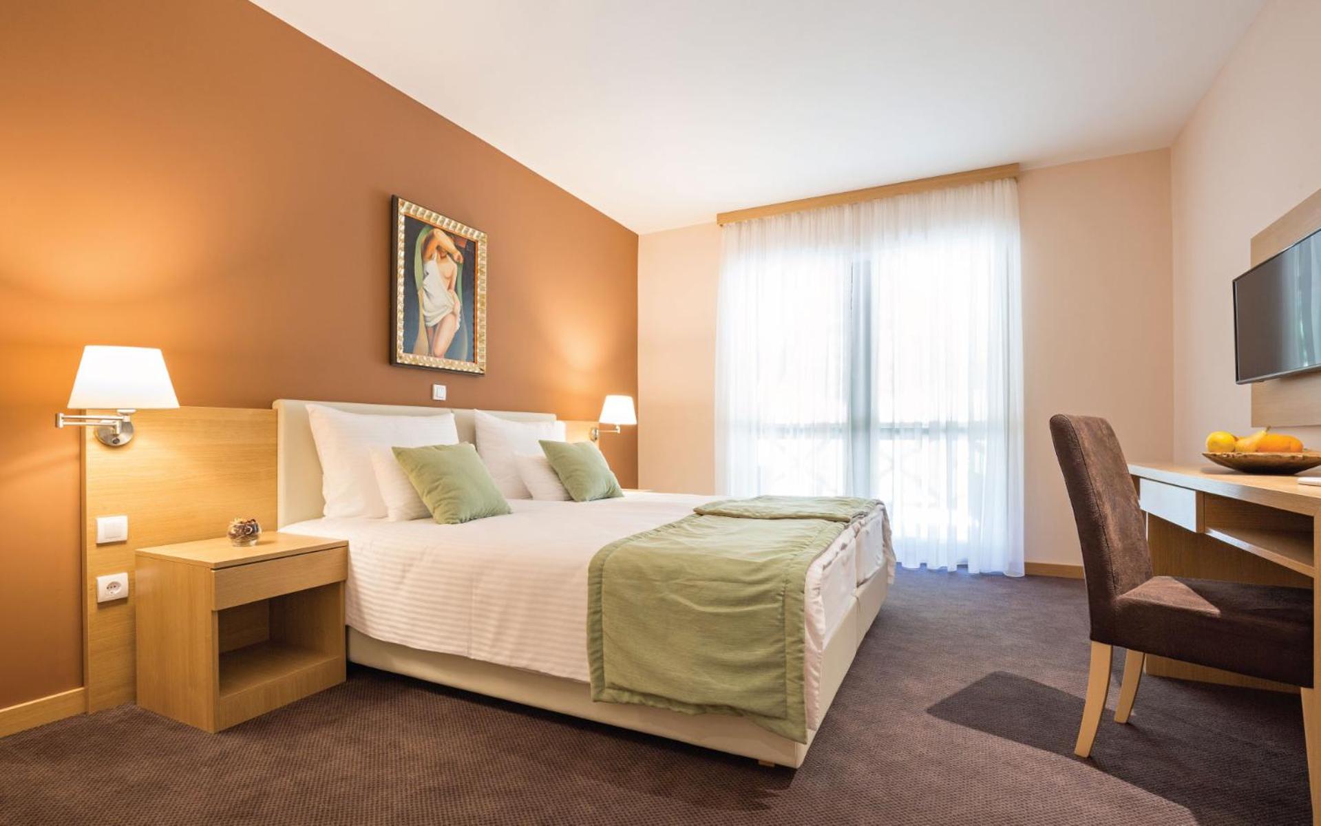 Superior Double or Twin Room with Terrace photo 1