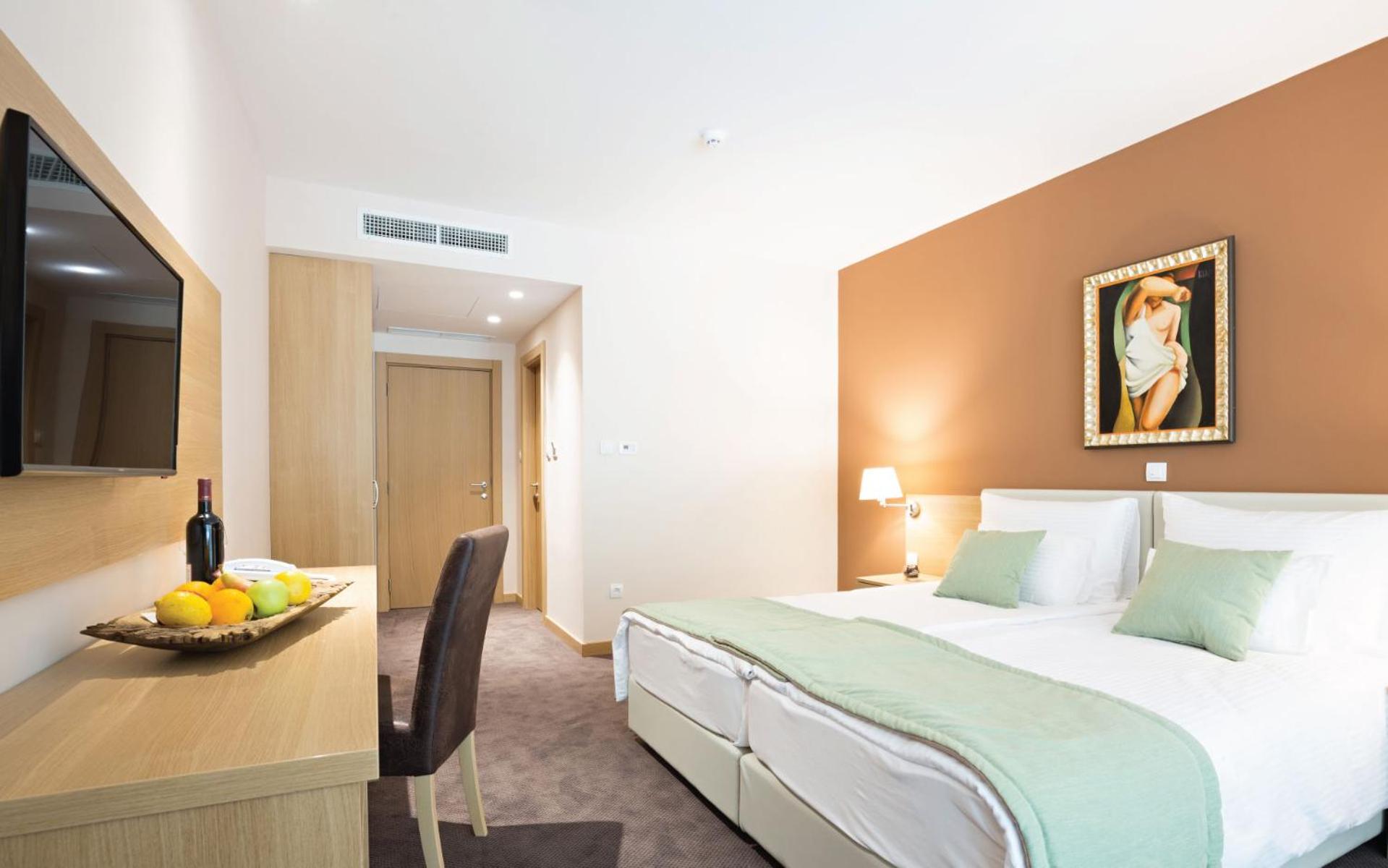 Superior Double or Twin Room with Terrace photo 2
