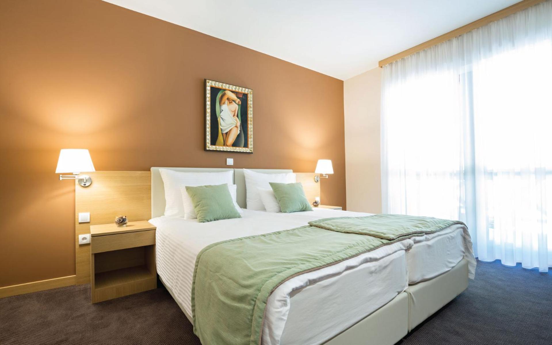 Superior Double or Twin Room with Terrace photo 3