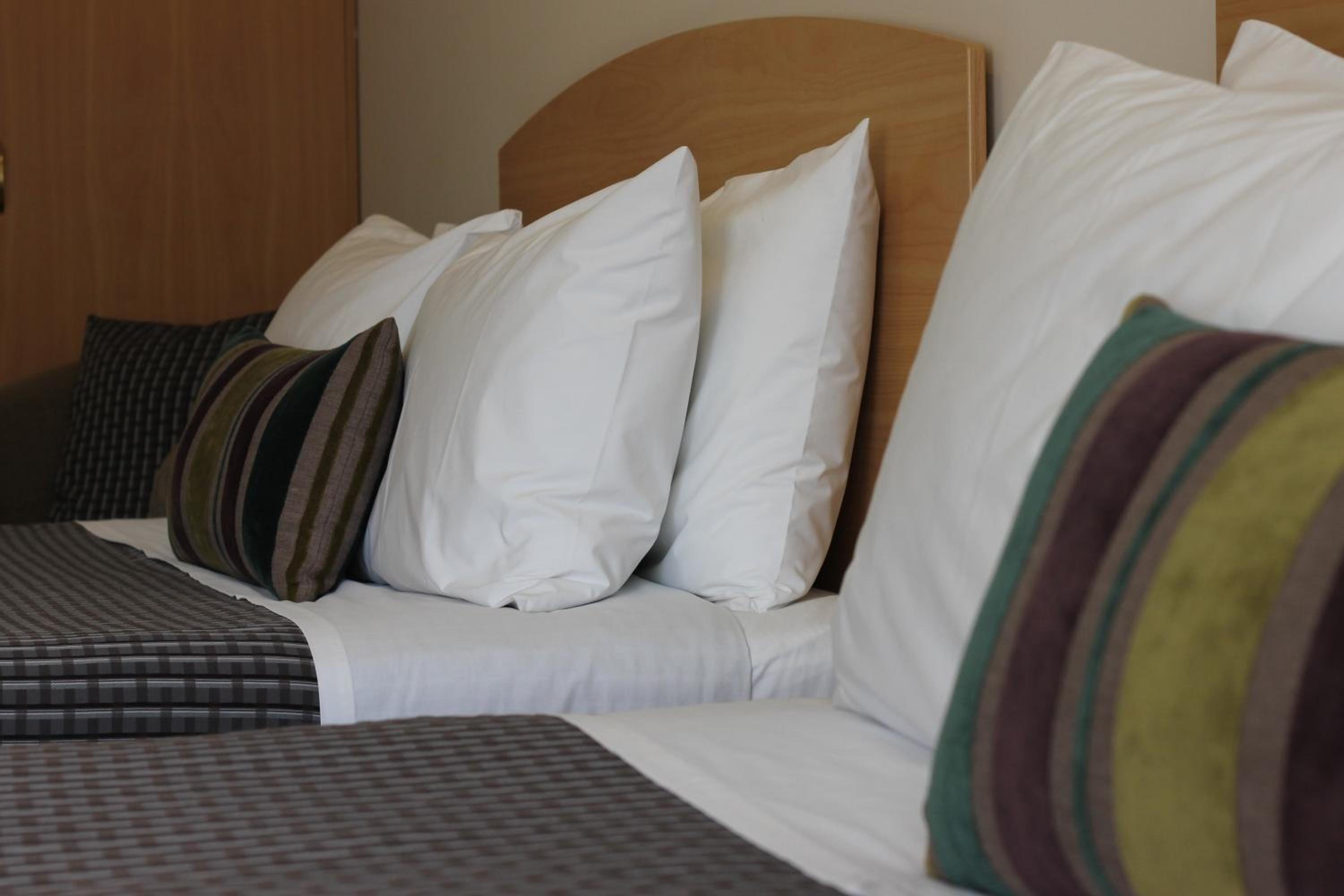 Deluxe Twin Room - Photo 1