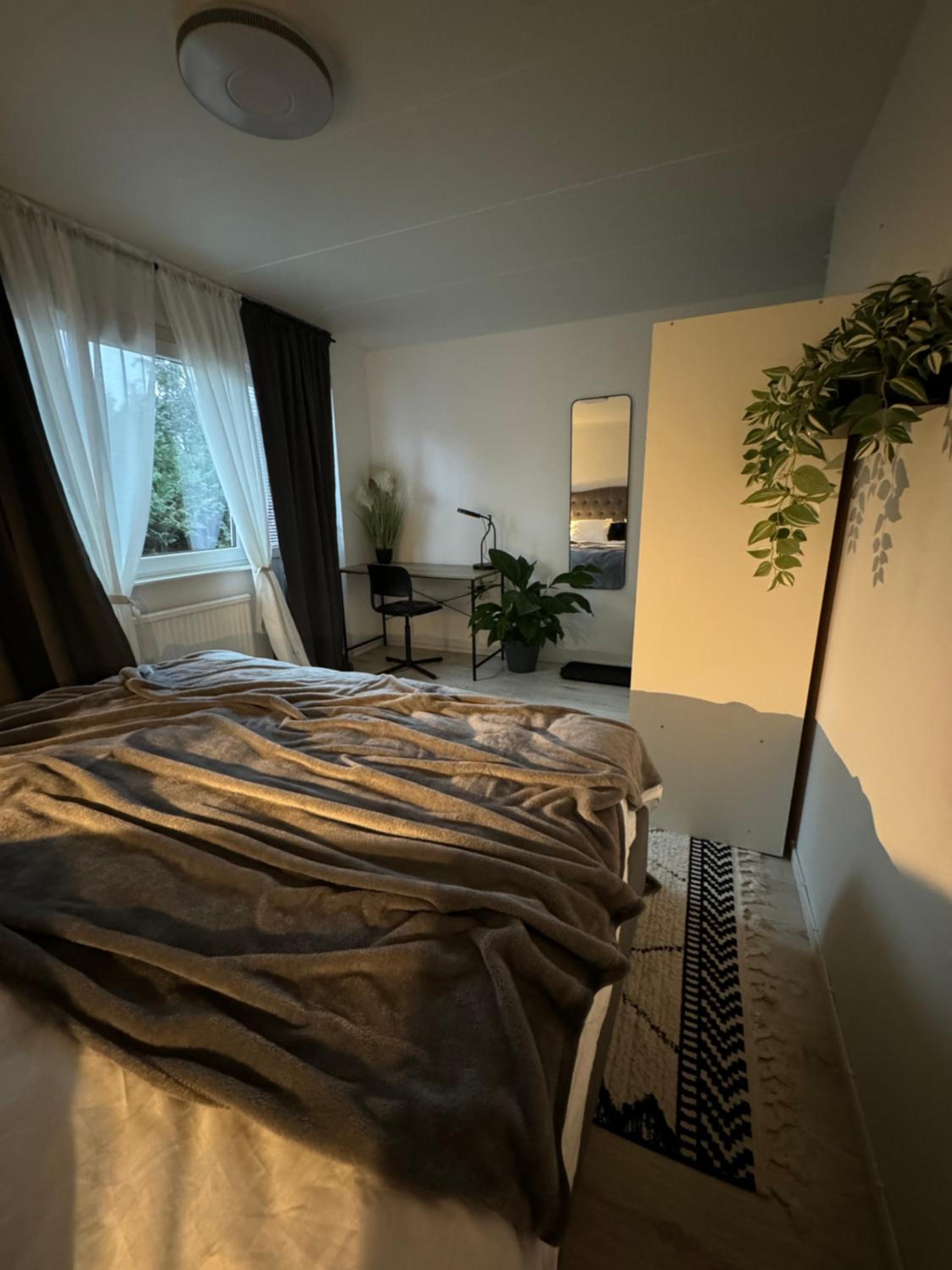 Deluxe King Room photo 3