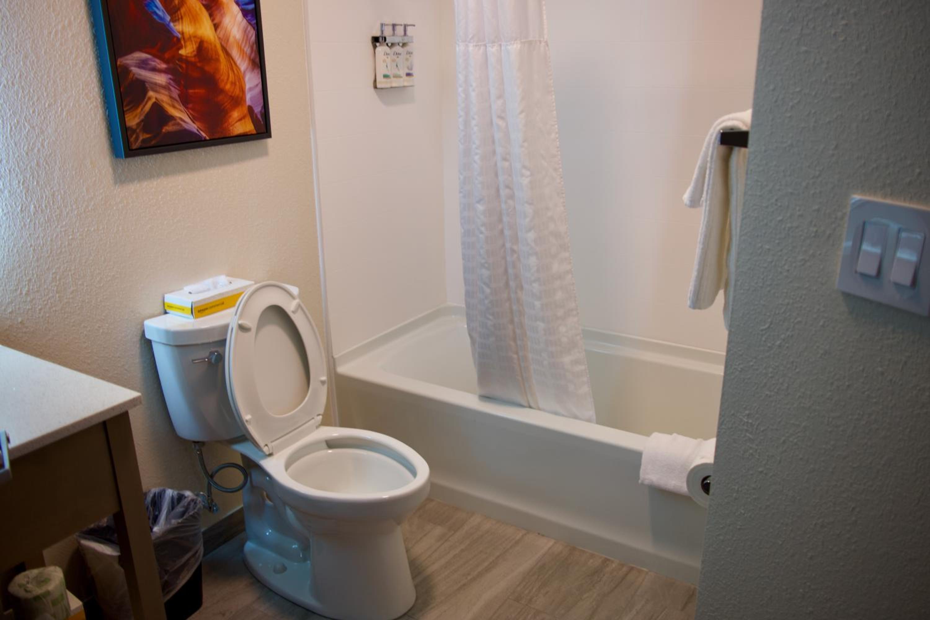 Studio Suite - Photo 14