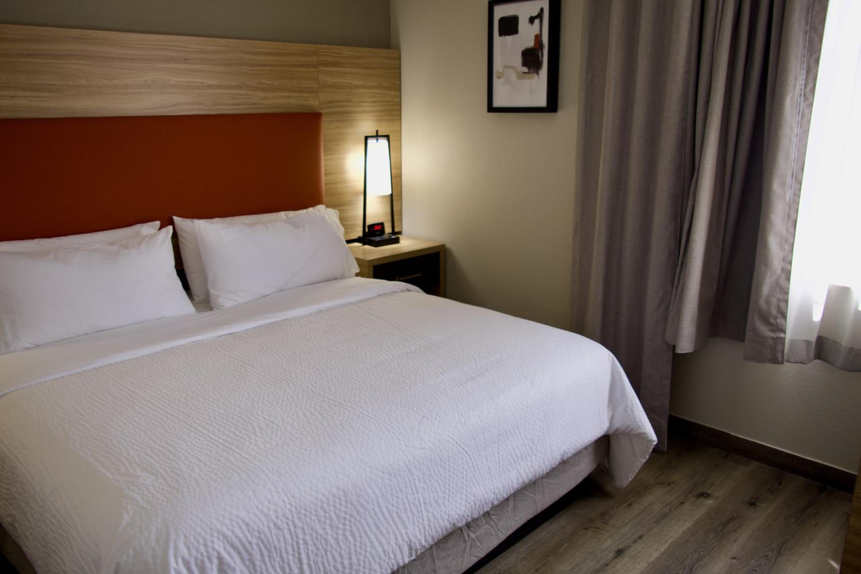 Studio Suite - Photo 15