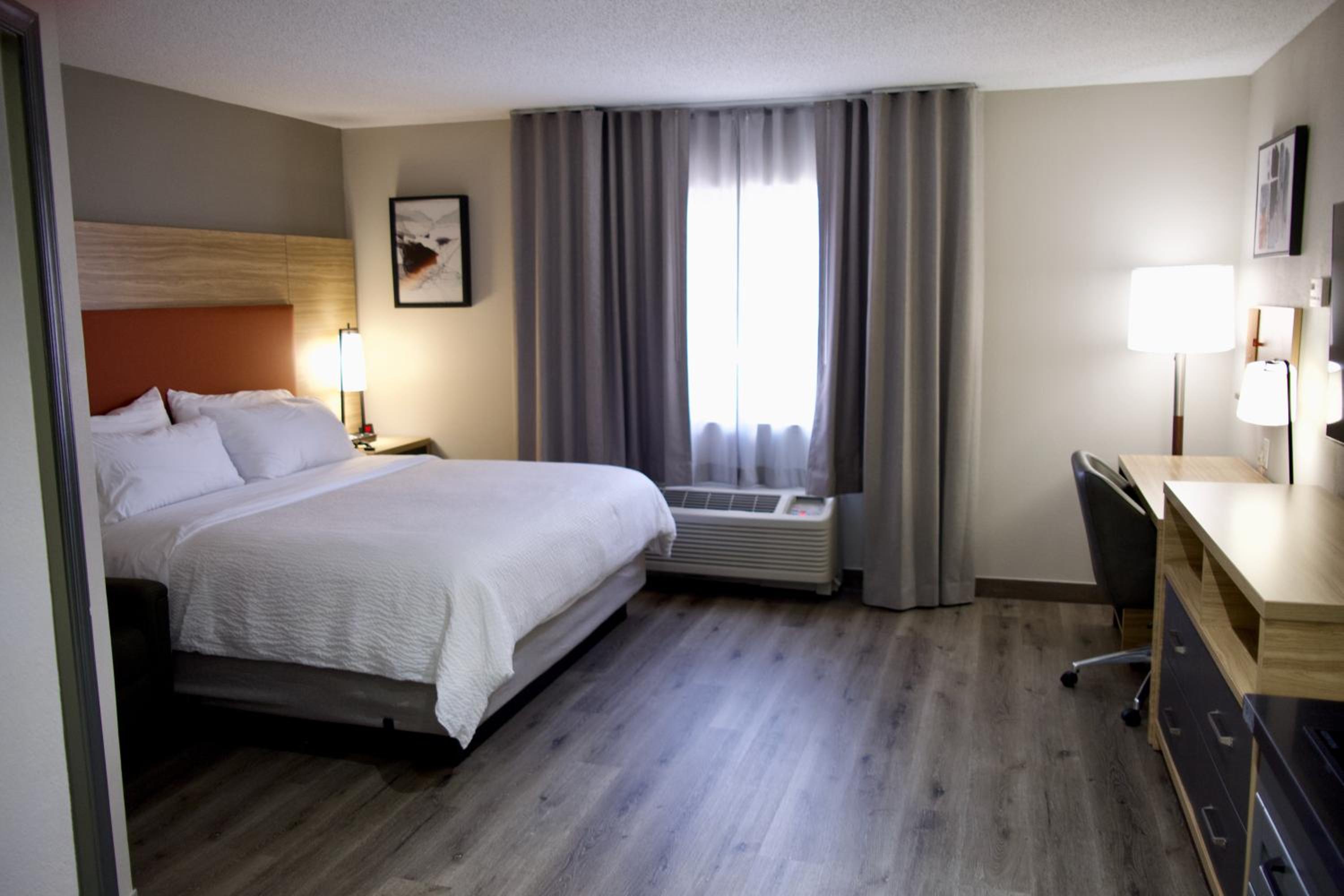 Studio Suite - Photo 1