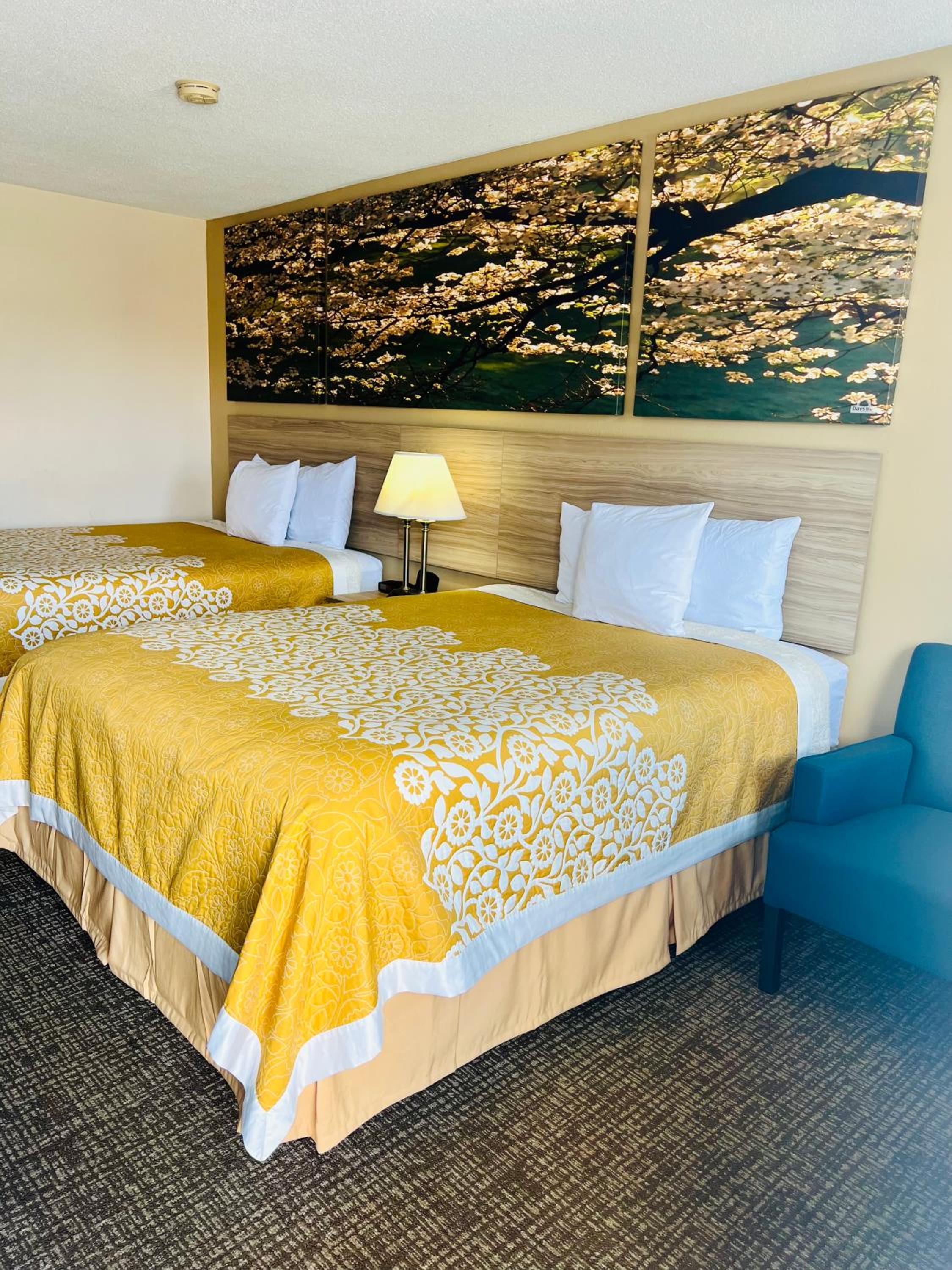 Queen Room with Two Queen Beds - Non-Smoking - Photo 10