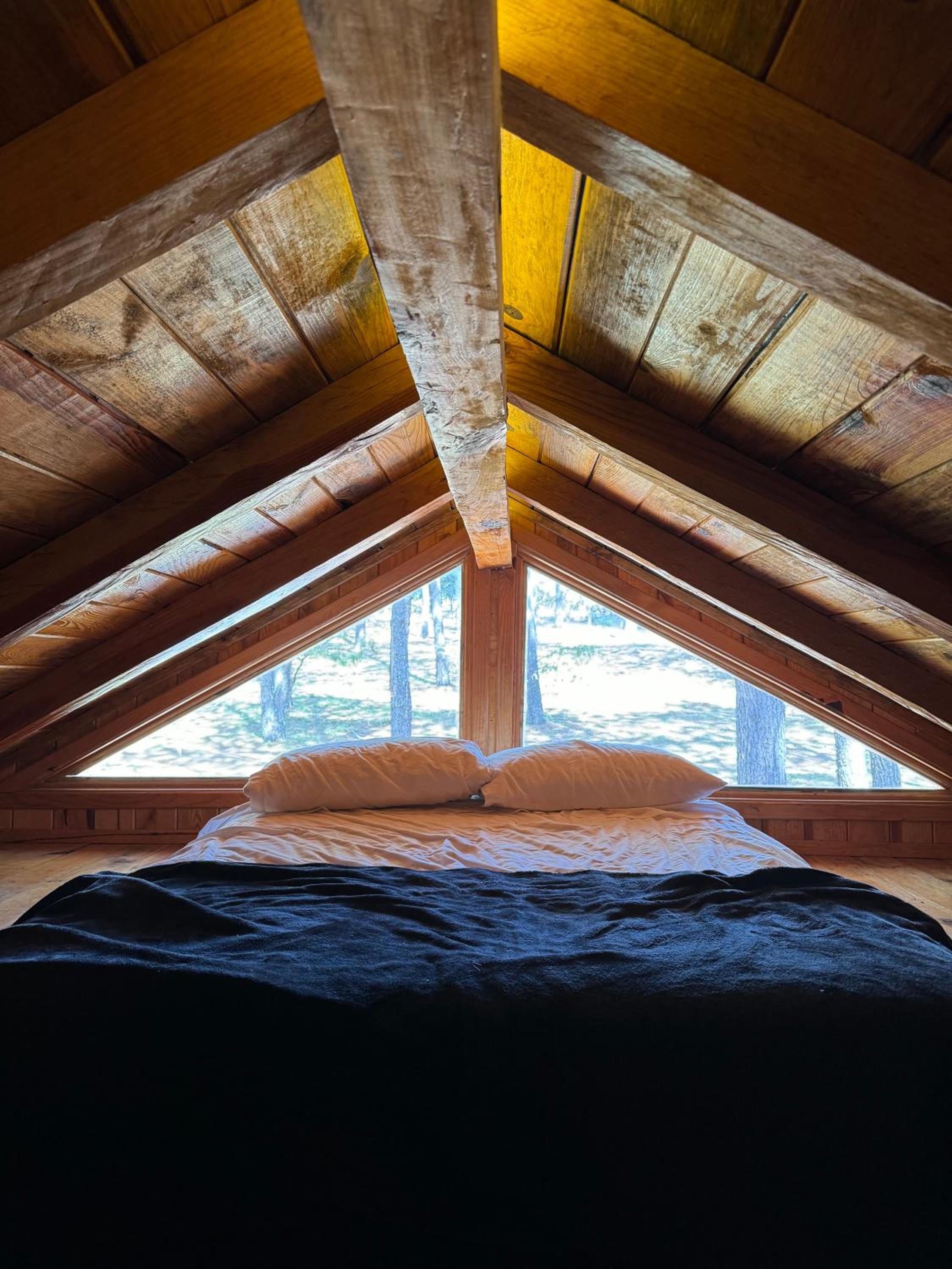 Junior Suite - Photo 4