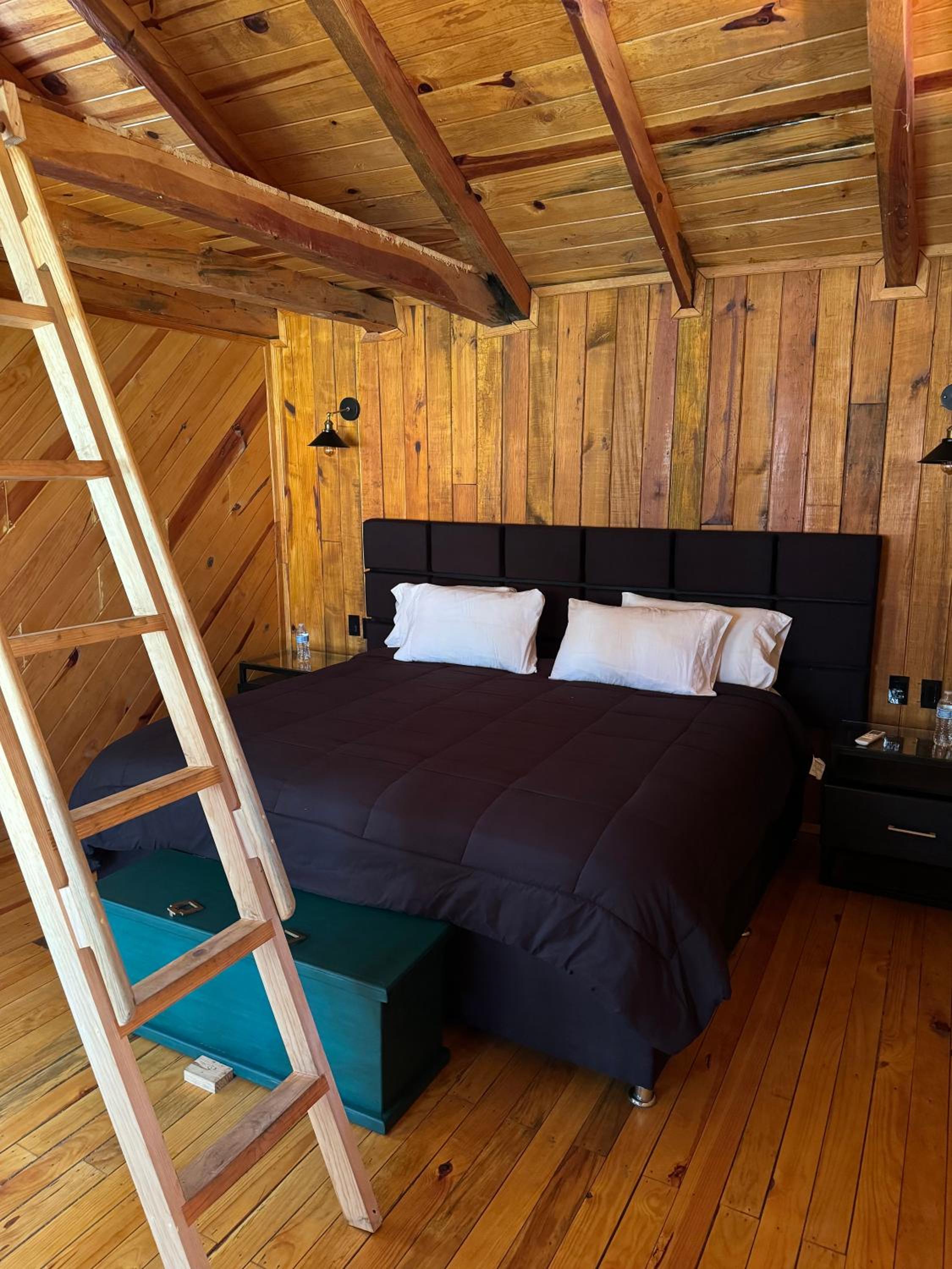 Junior Suite - Photo 7
