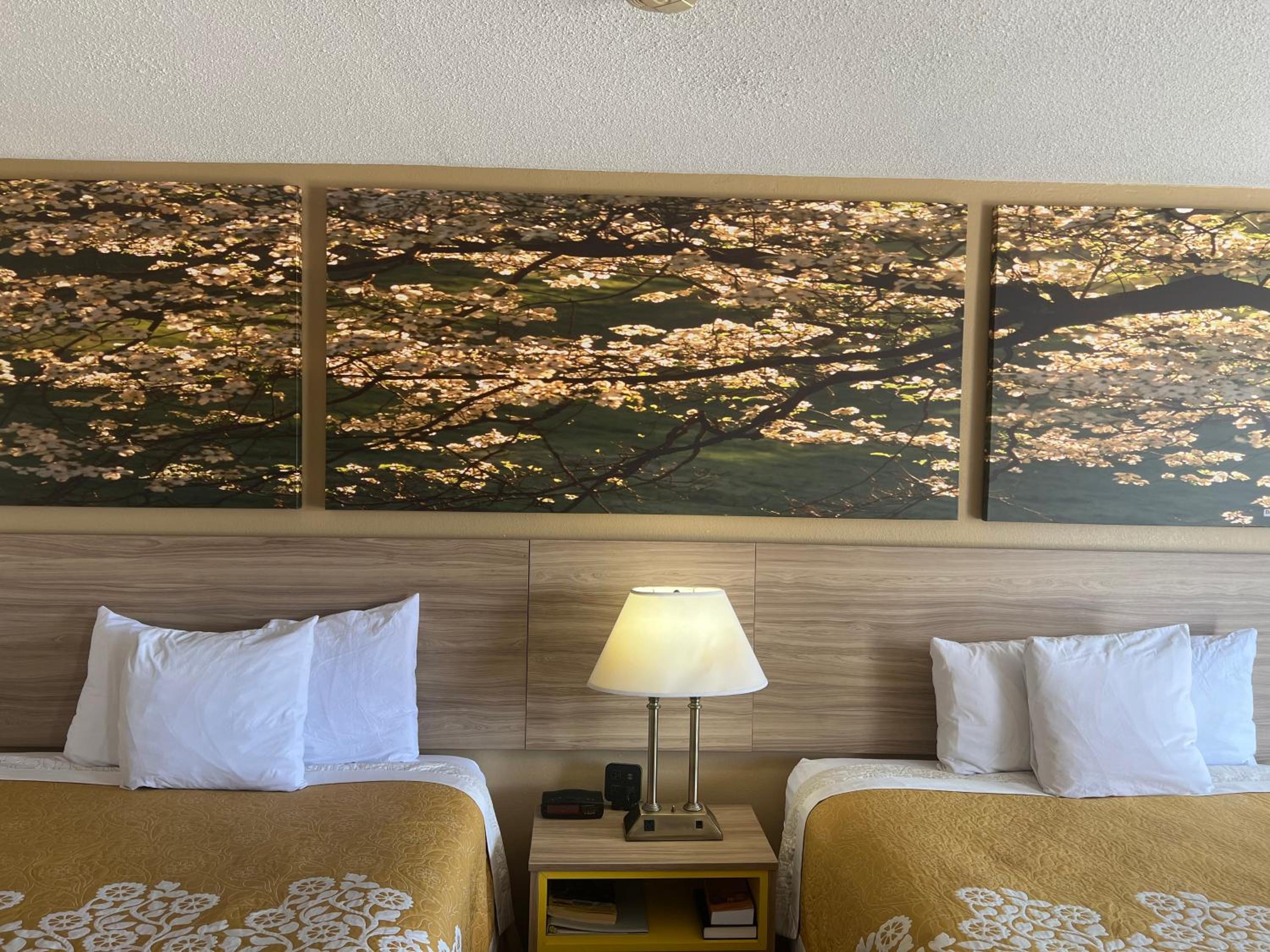 Queen Room - Non-Smoking - Photo 1