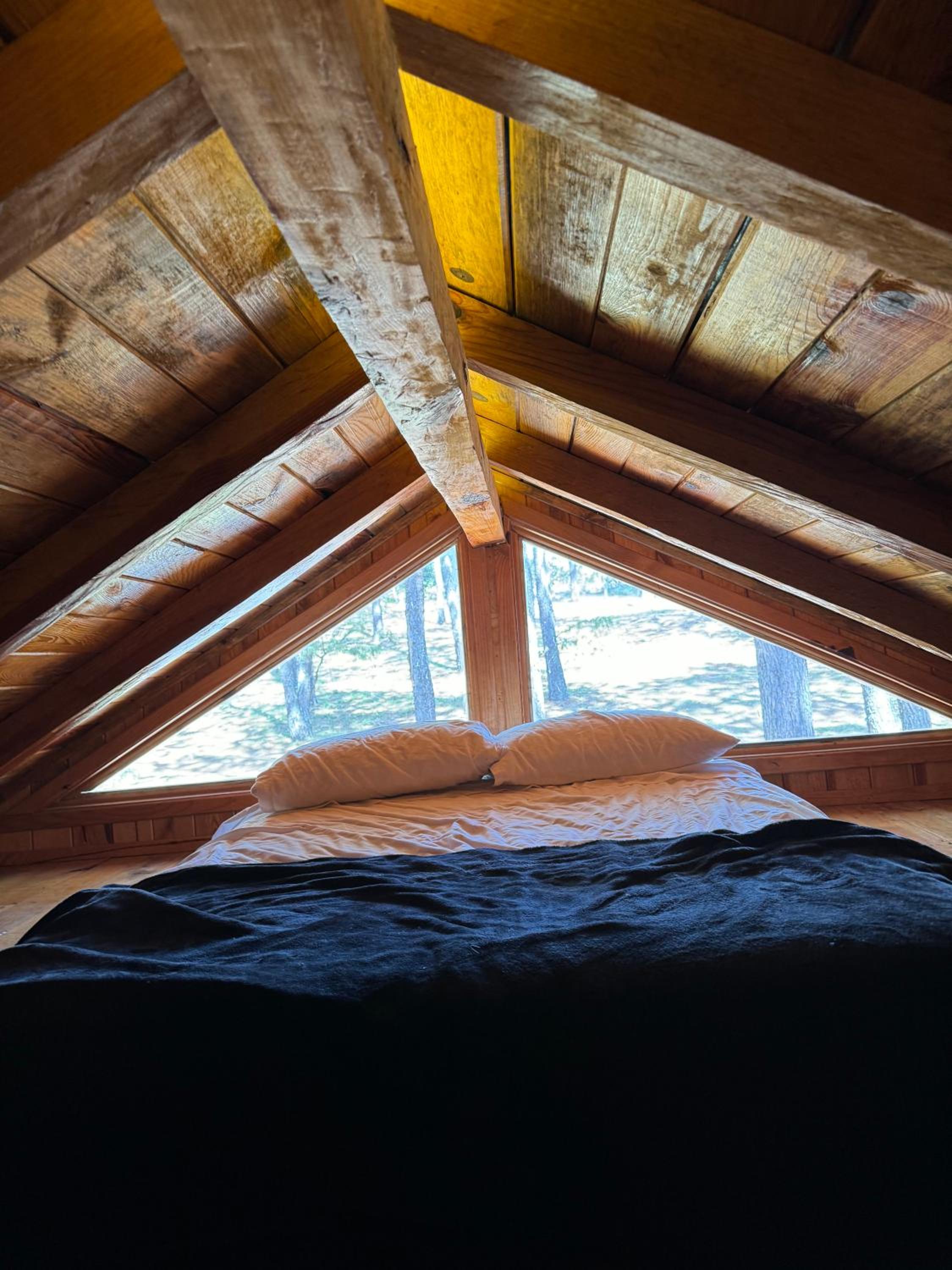 Junior Suite with Terrace - Photo 8