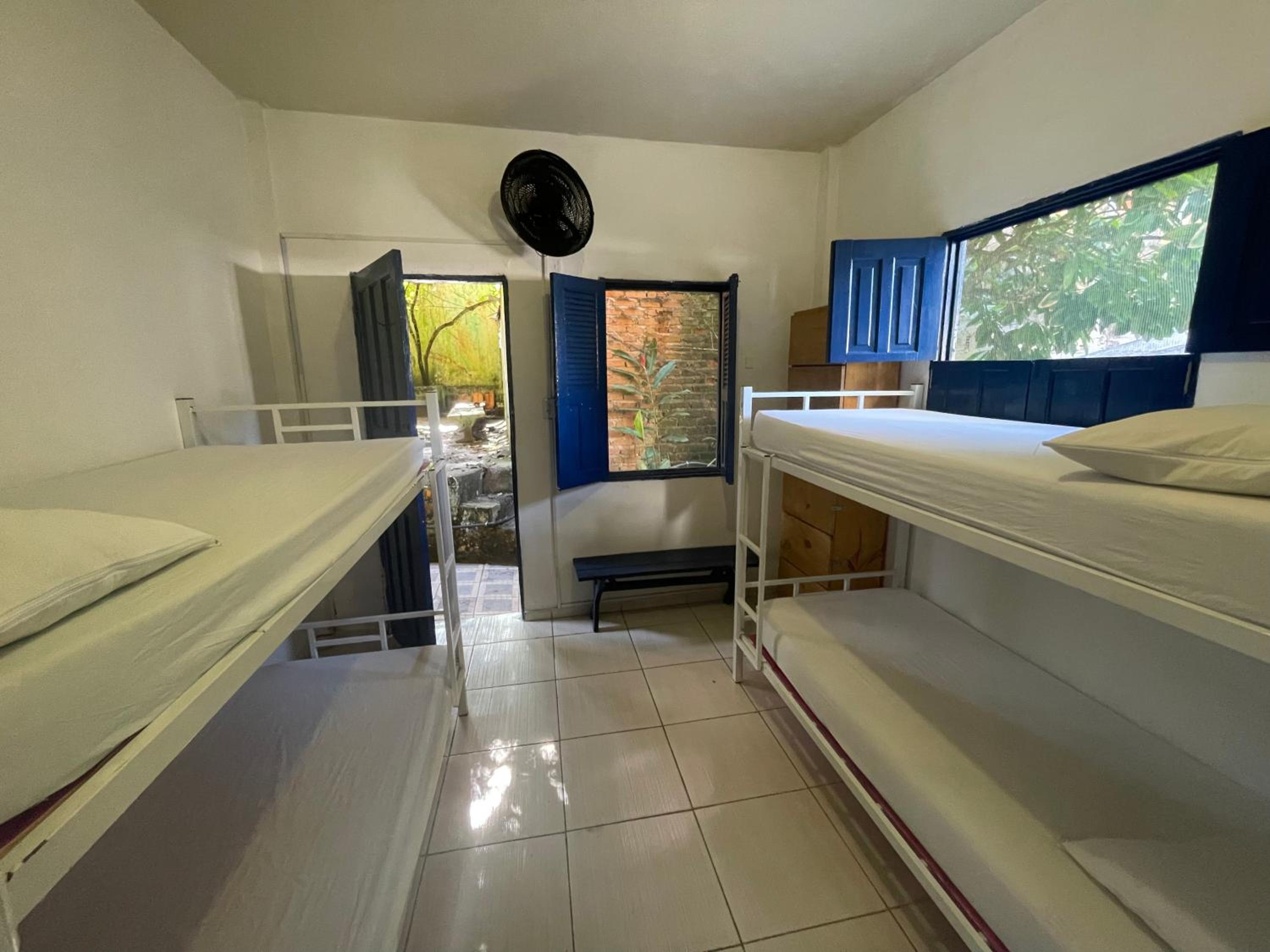 Bunk Bed in Mixed Dormitory Room photo 3