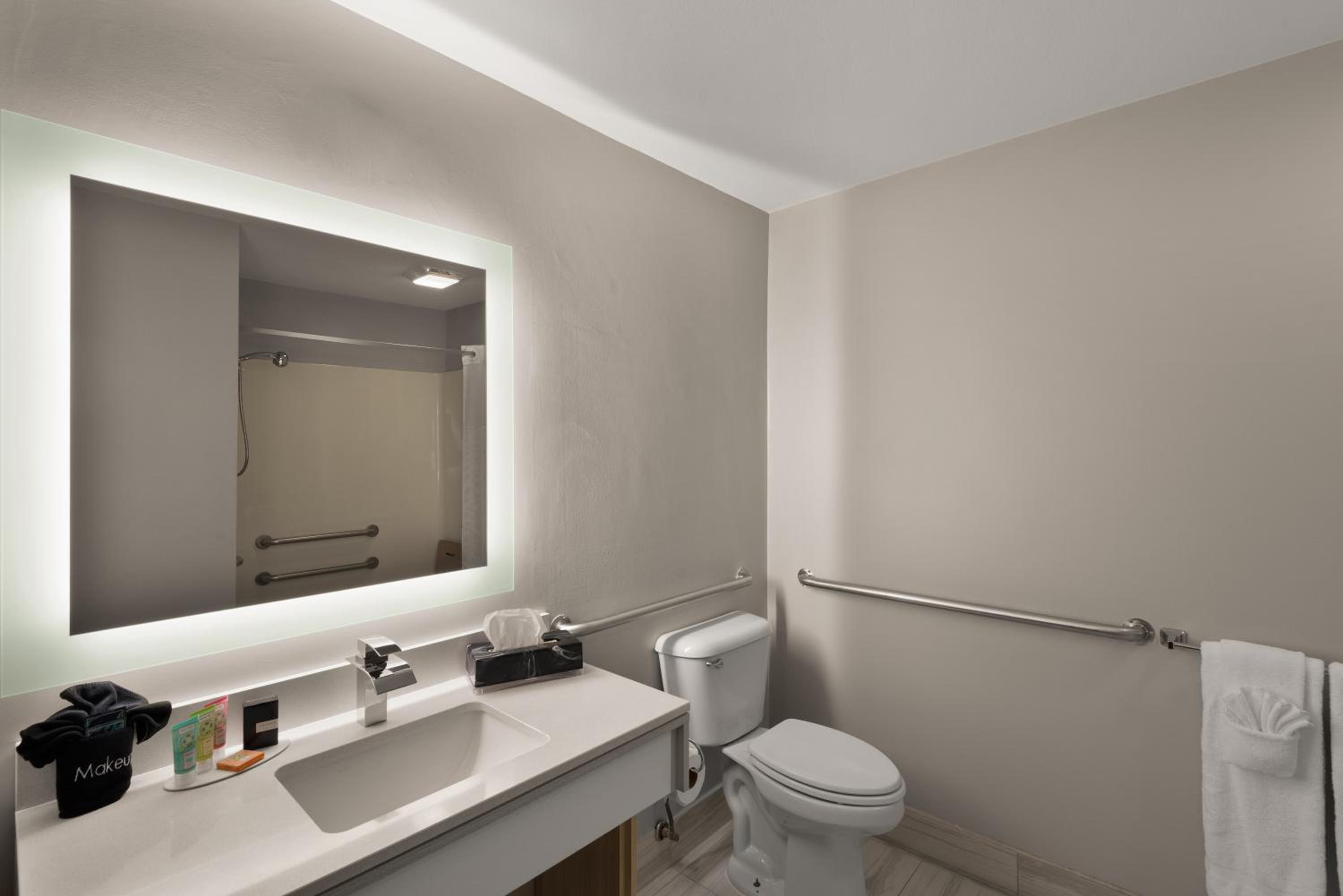 King Suite with Mobility Access and Bathtub with Grab Bars, Non-Smoking - Photo 3