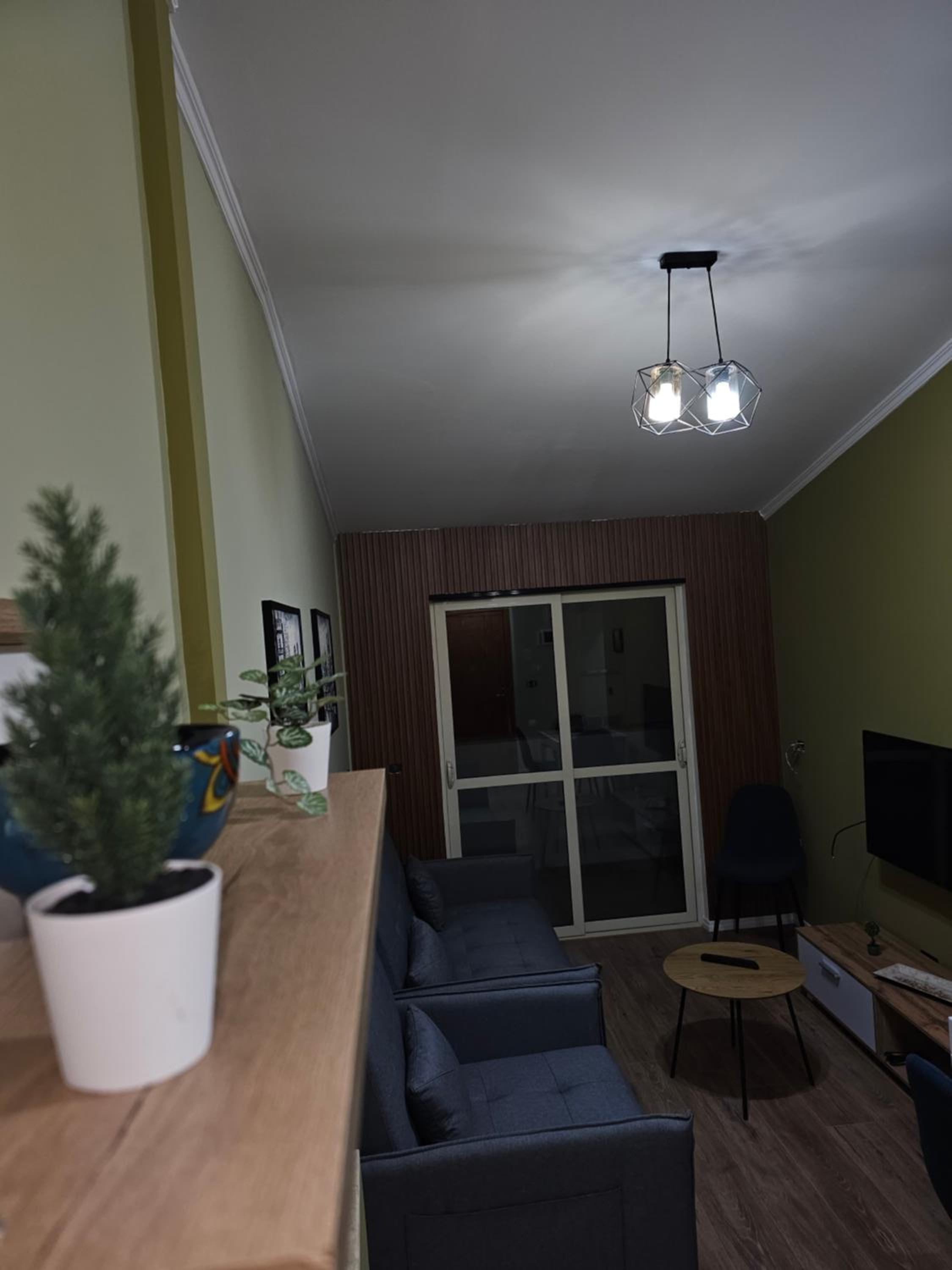 One-Bedroom Apartment photo 2