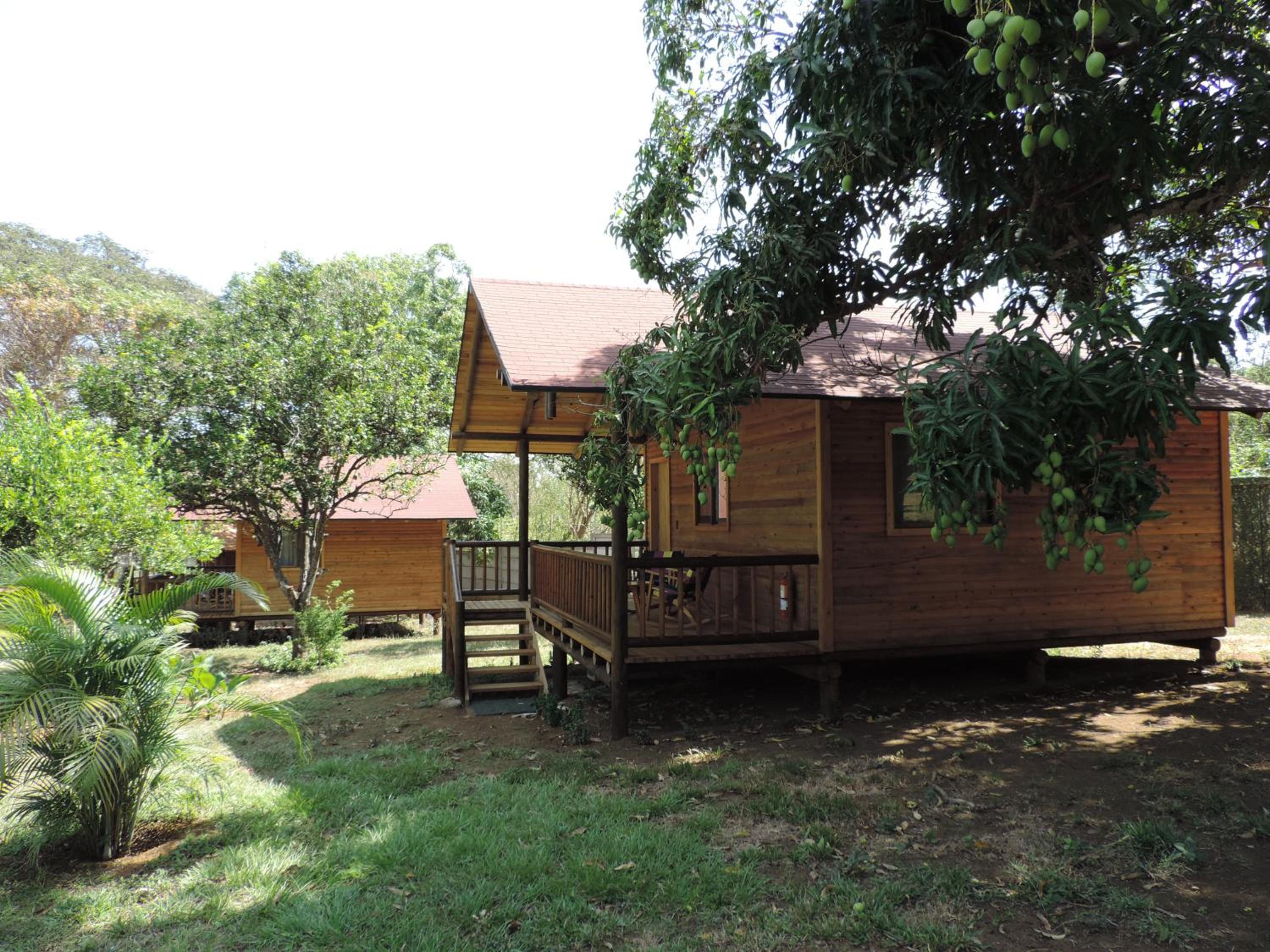 Double Room with Terrace photo 3