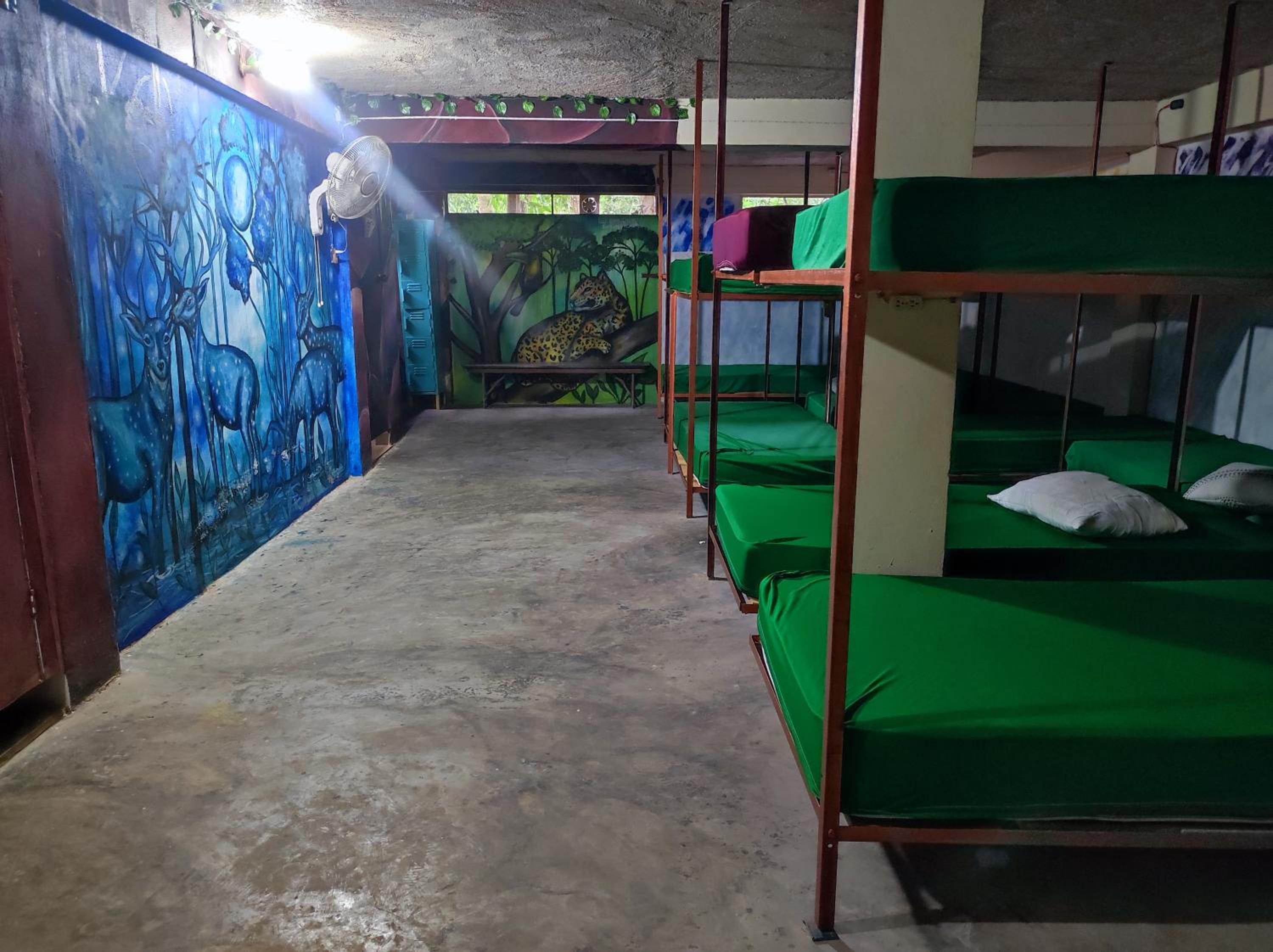Mixed Dormitory Room photo 1