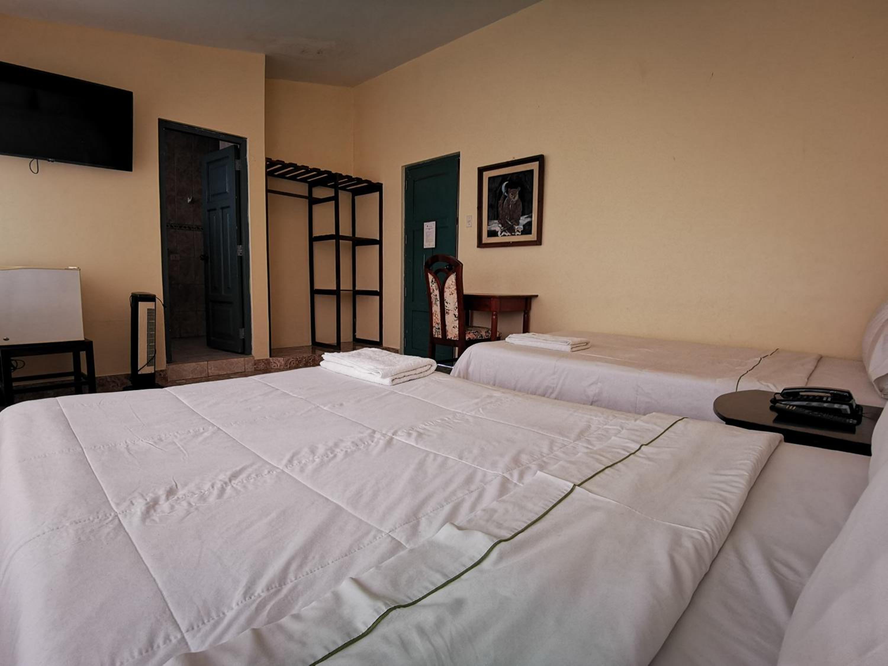 Double Room with Two Double Beds