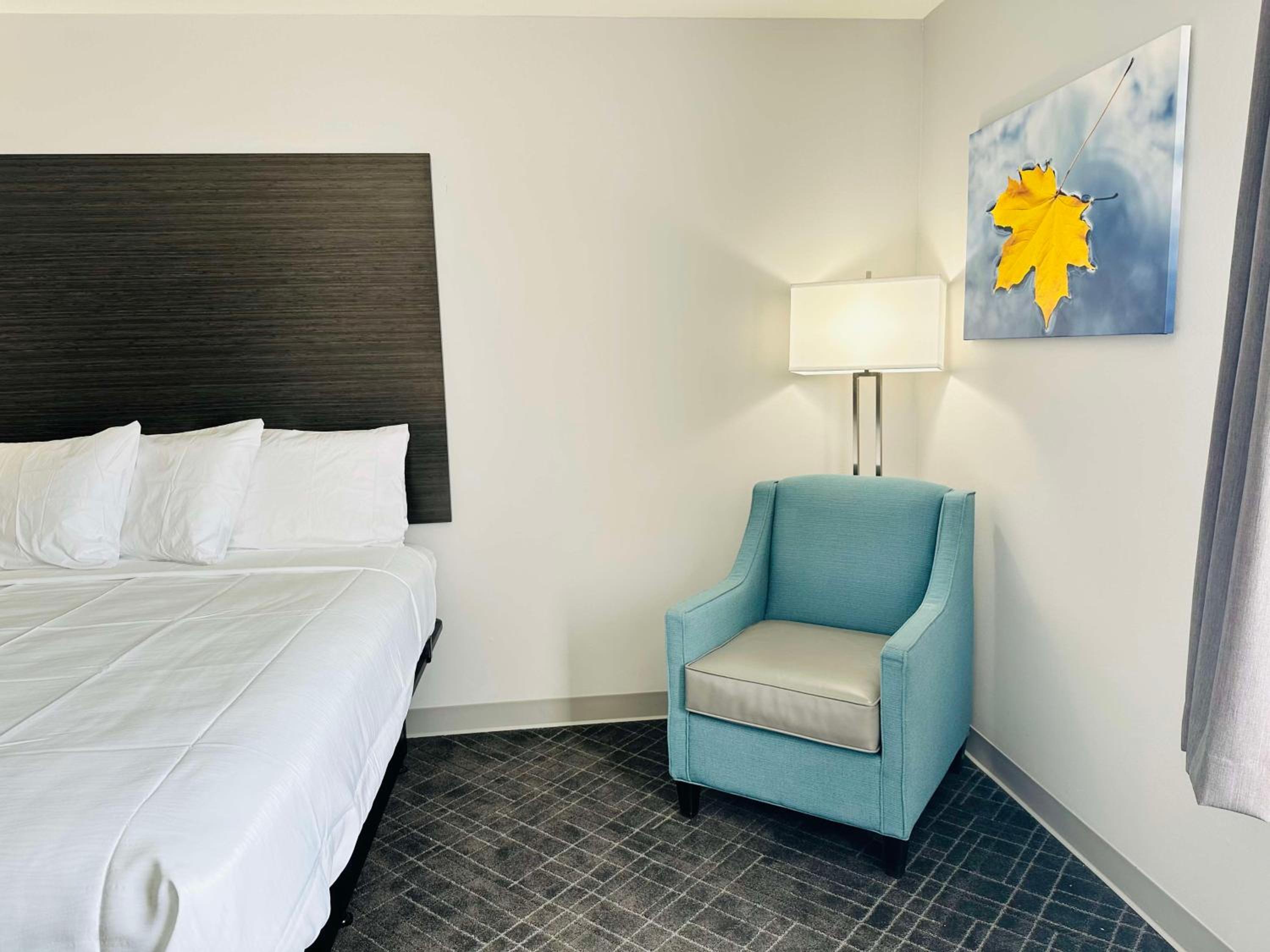 King Room - Non-Smoking - Photo 6