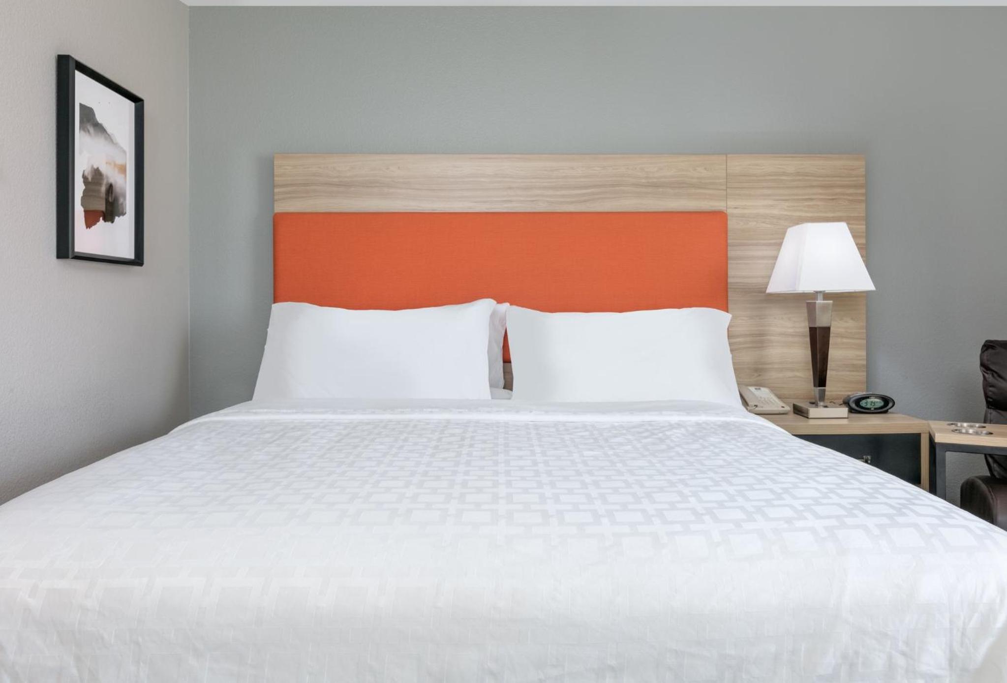 King Studio Suite - Photo 1