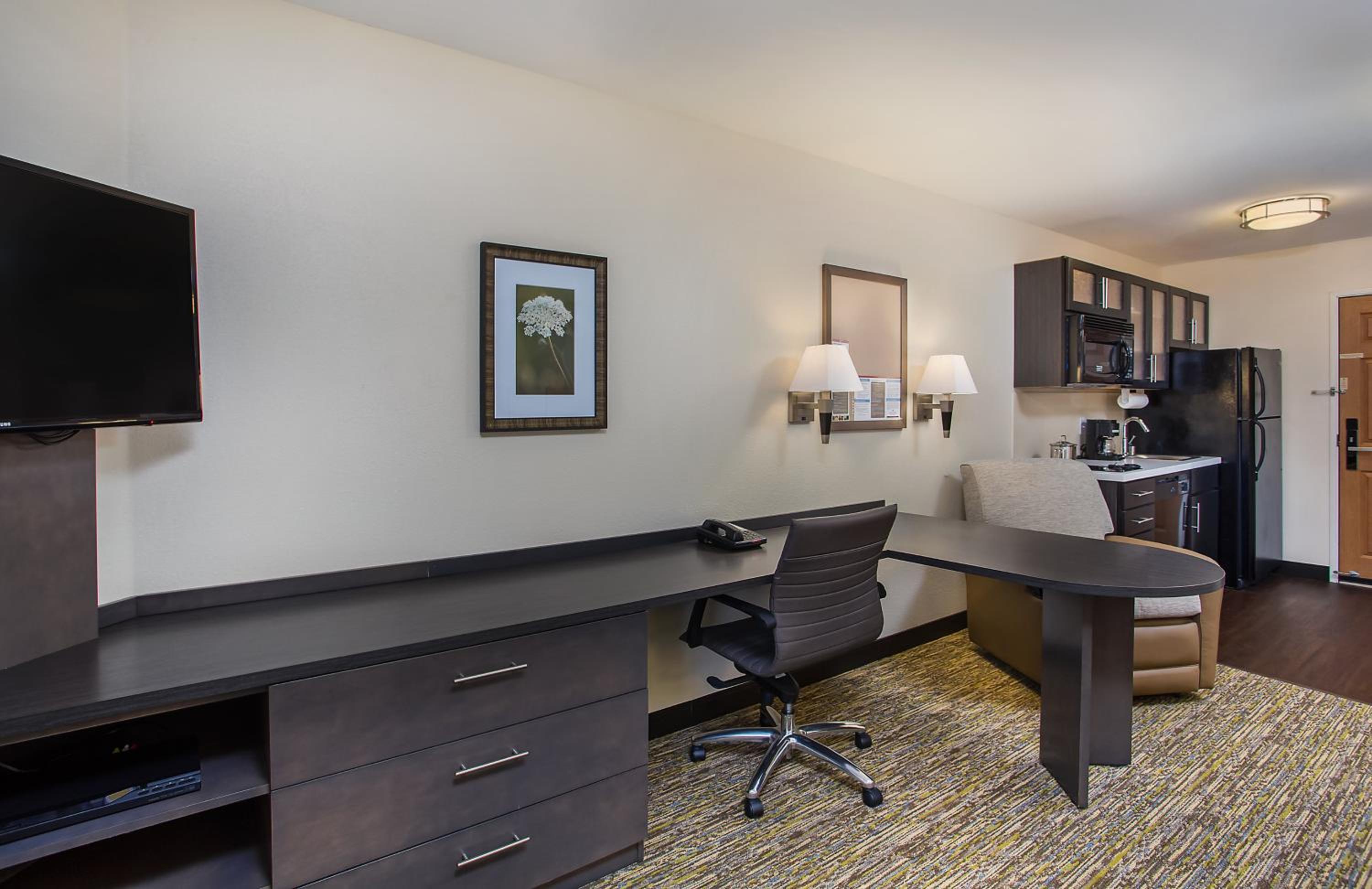Studio Suite - Photo 6