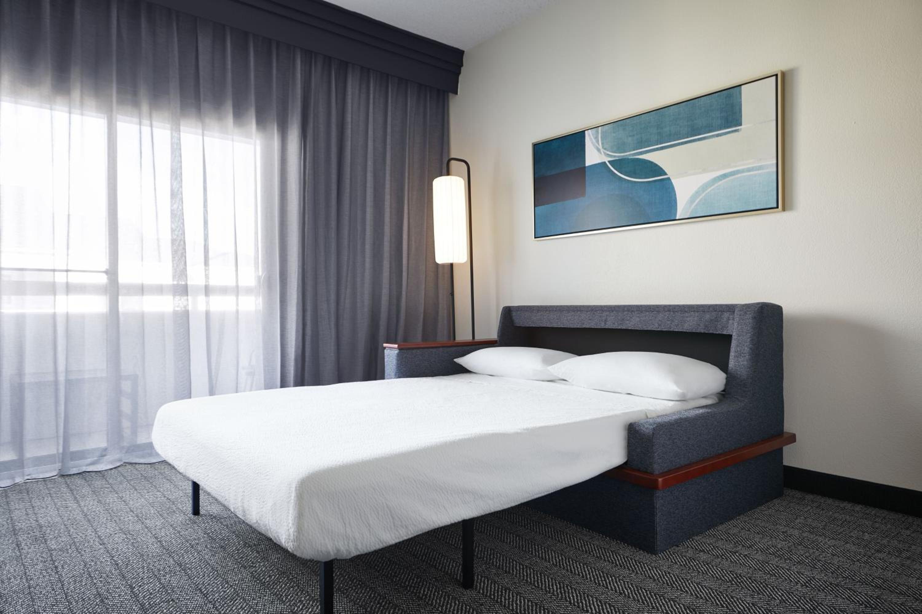 King Suite with Sofa Bed
