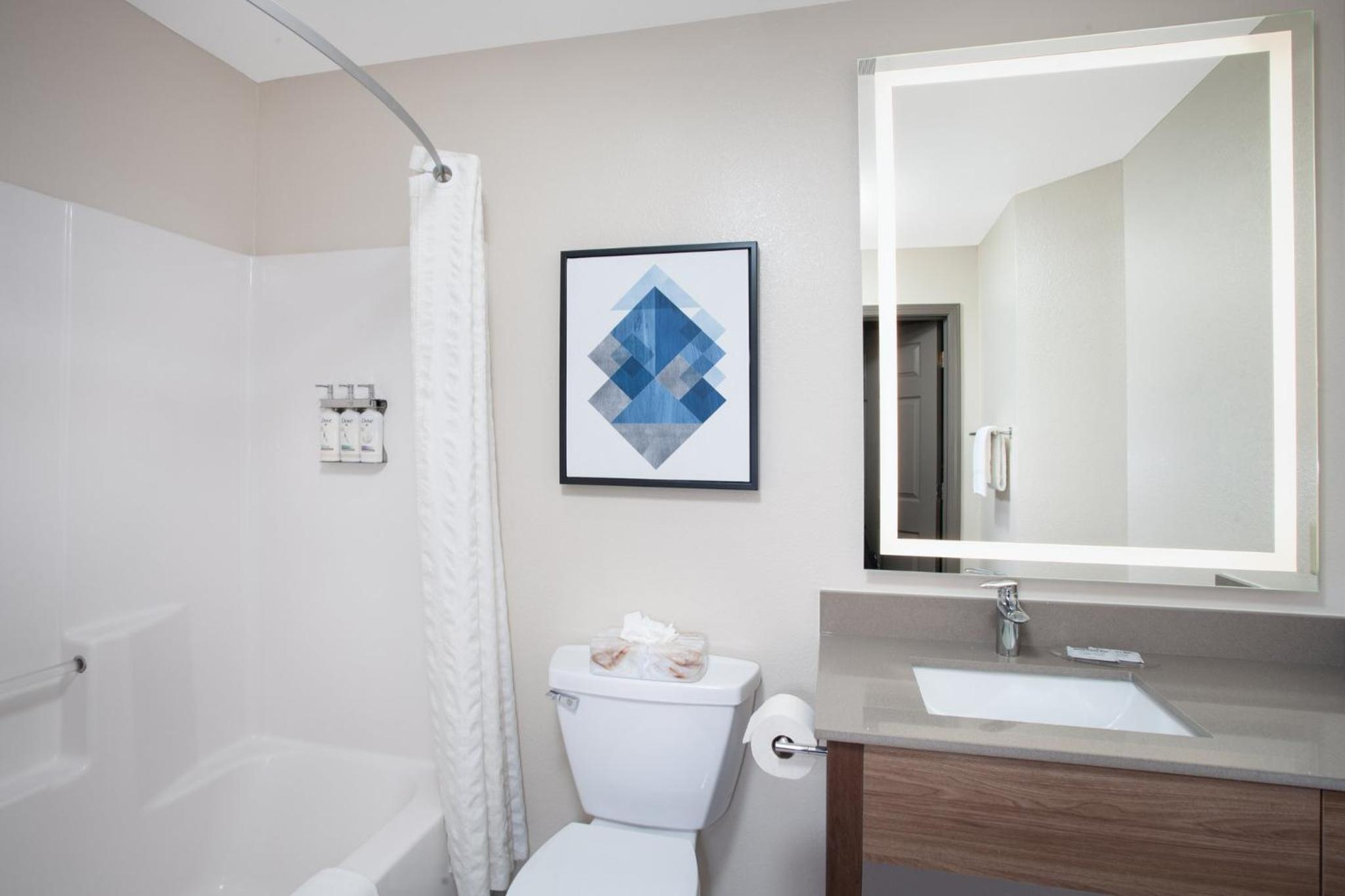 Studio Suite - Photo 2