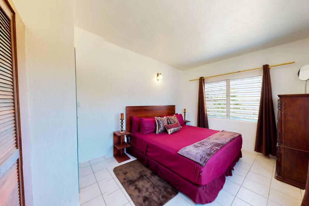 One-Bedroom House photo 2