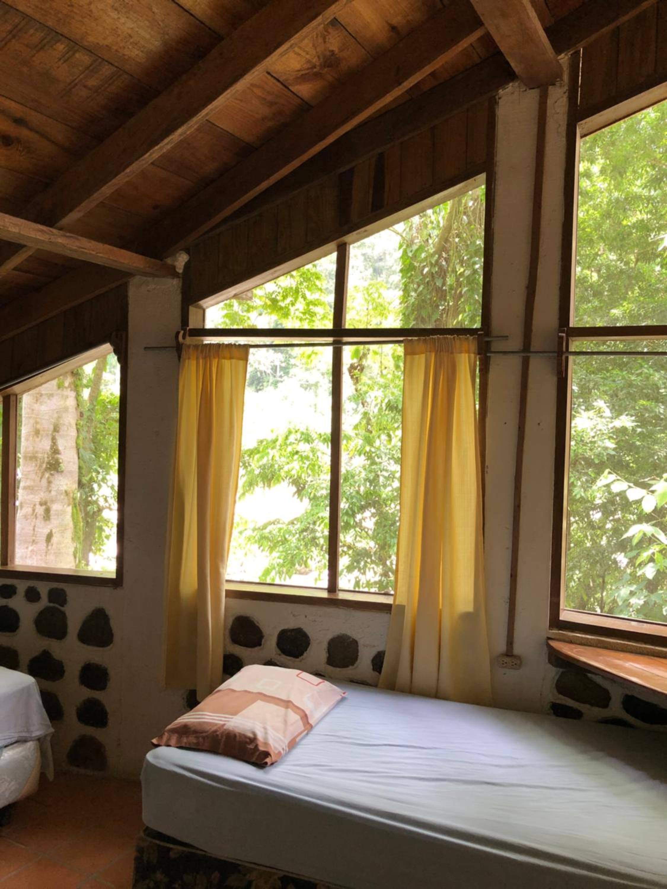 Deluxe Double or Twin Room photo 1