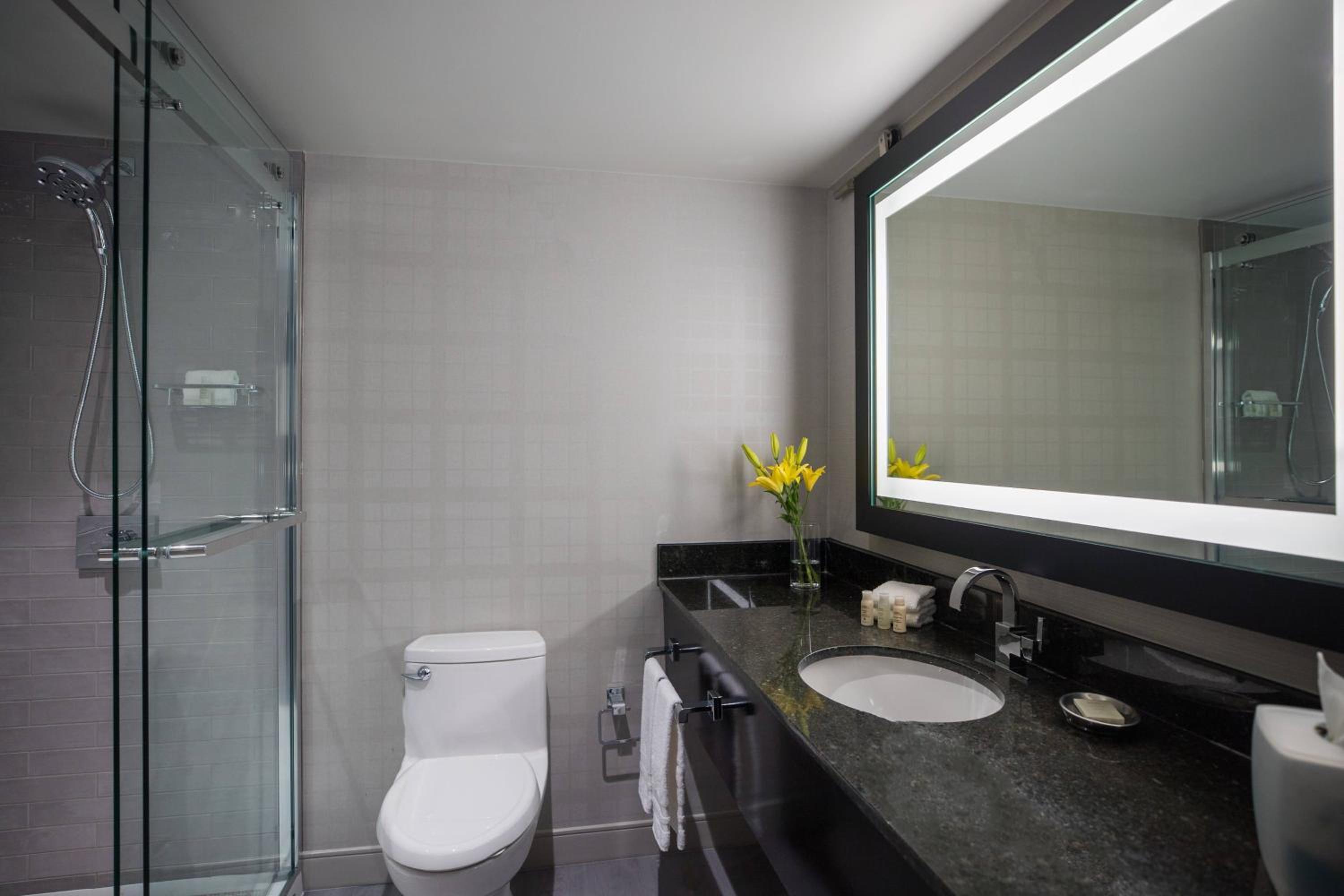 King Suite - Lounge Access - Photo 8