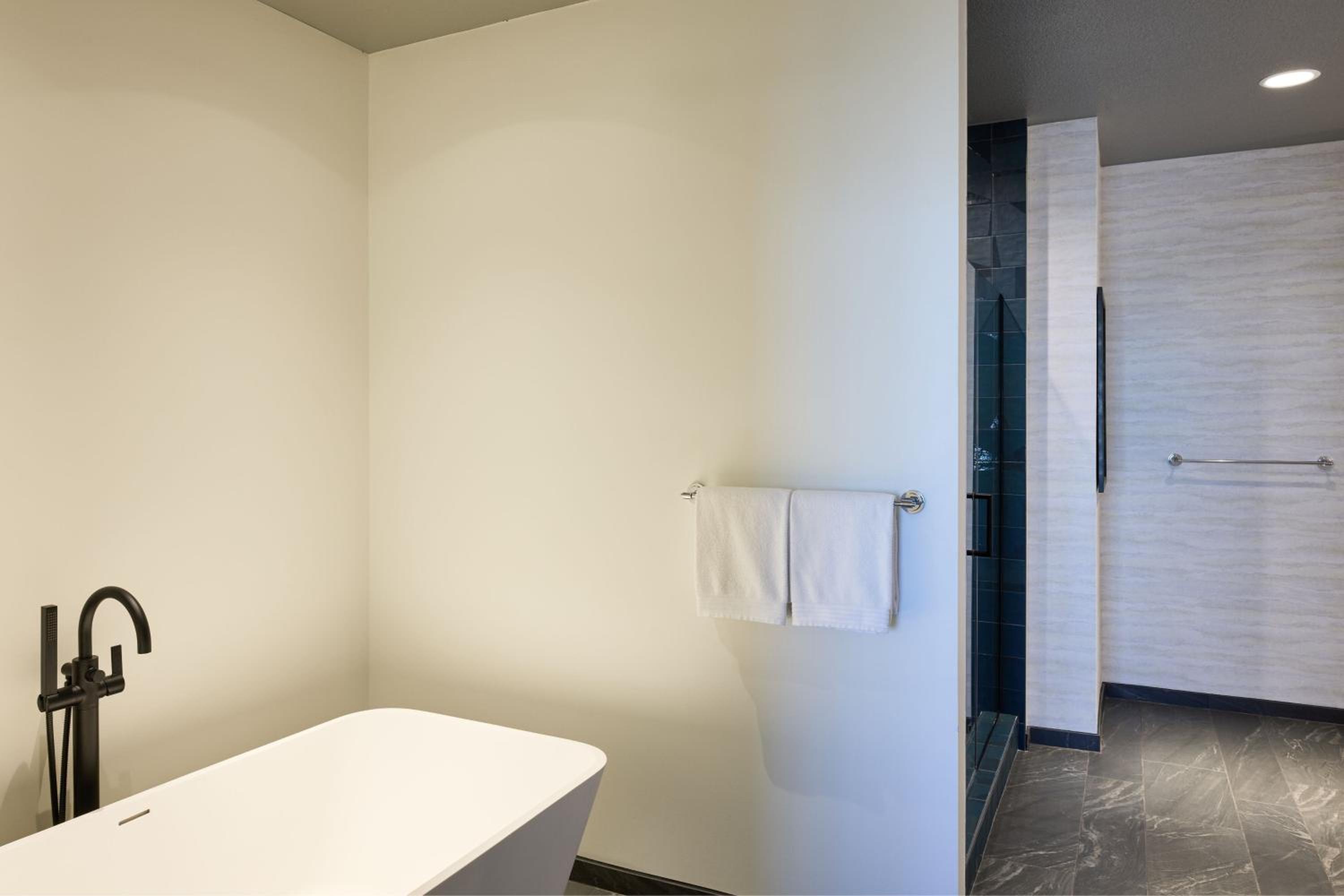 Club King Suite - Photo 6