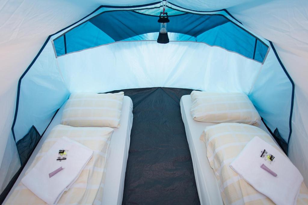 Tent photo 2