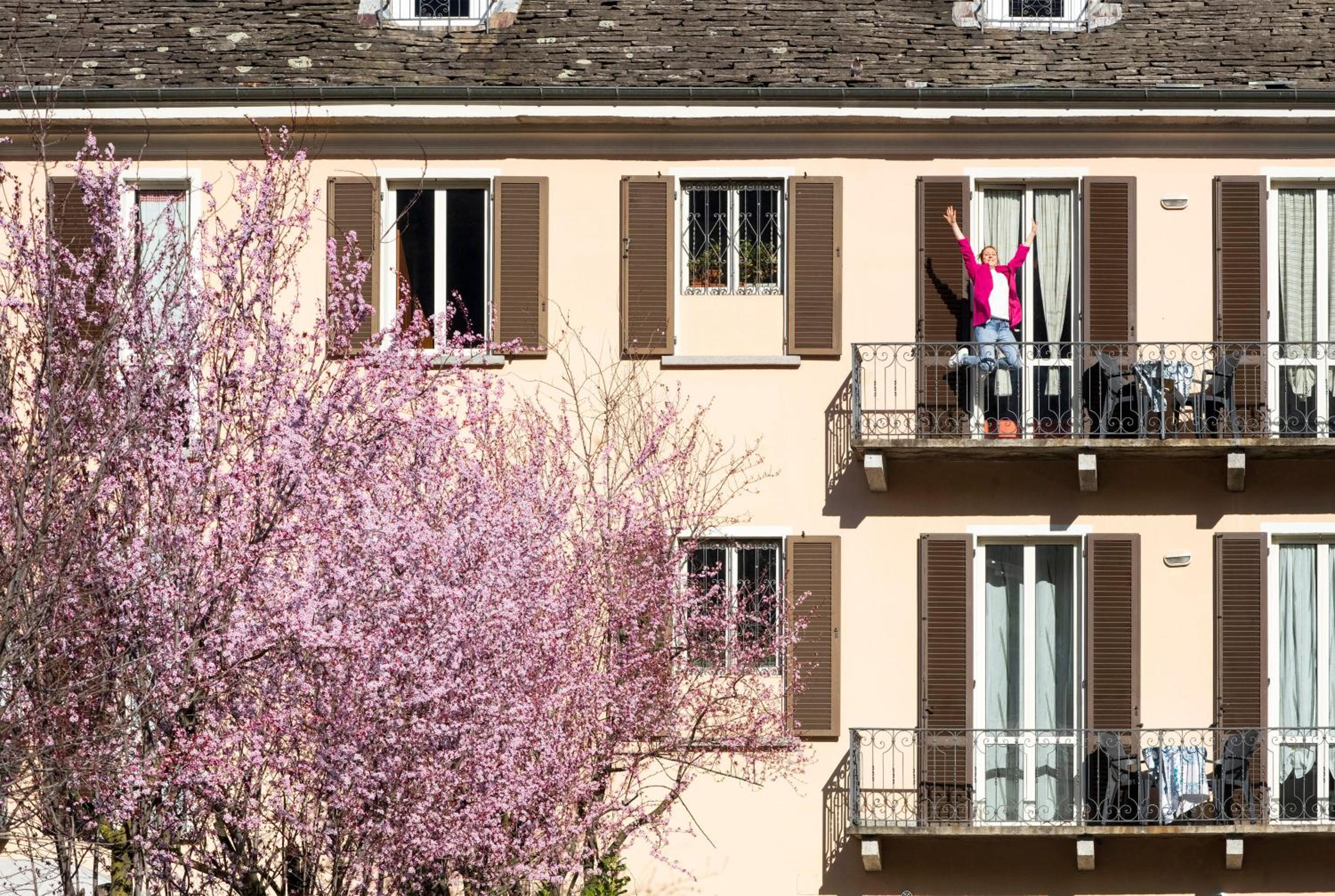 Apartment with Garden View photo 1