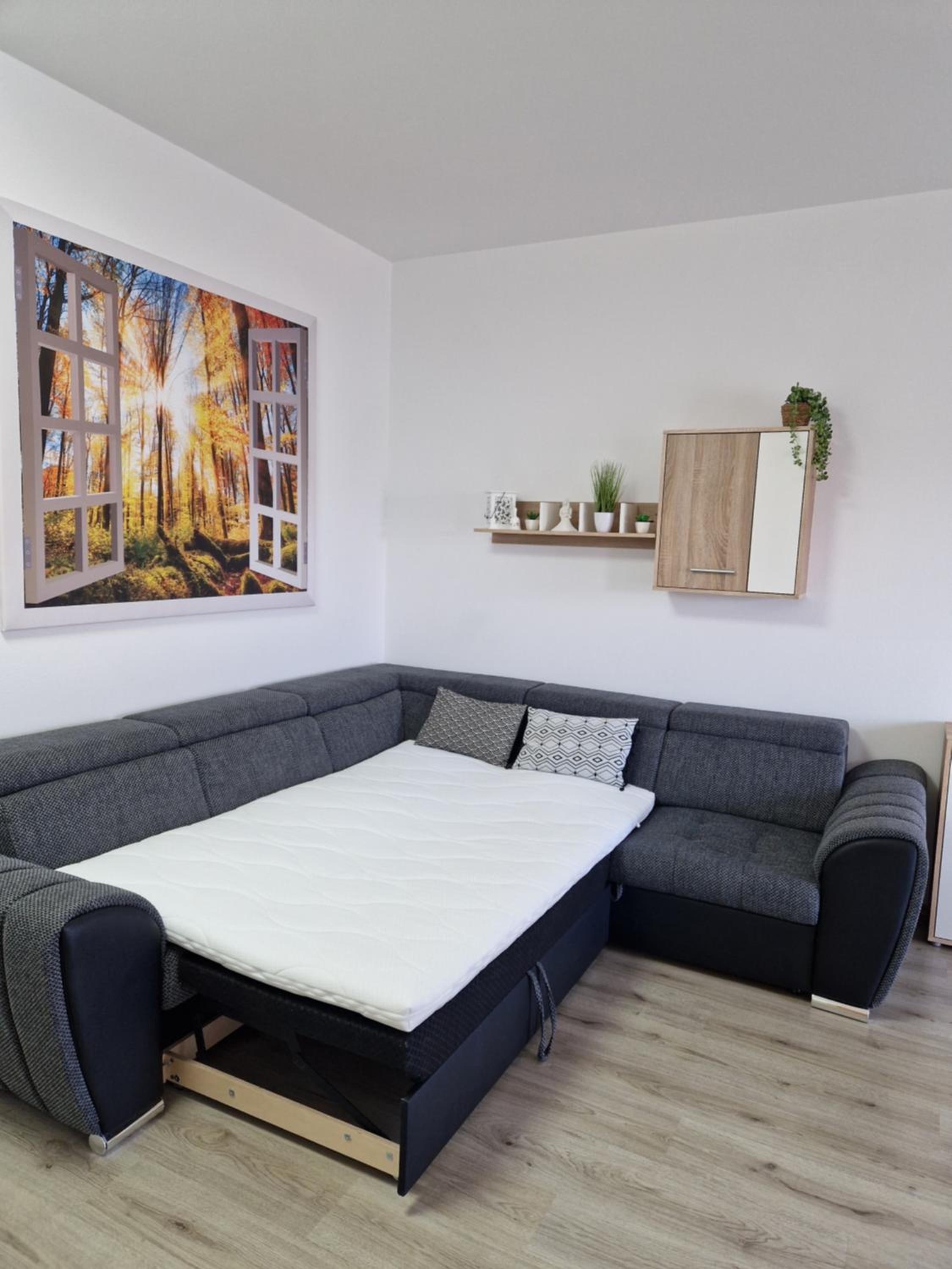 One-Bedroom Apartment photo 2
