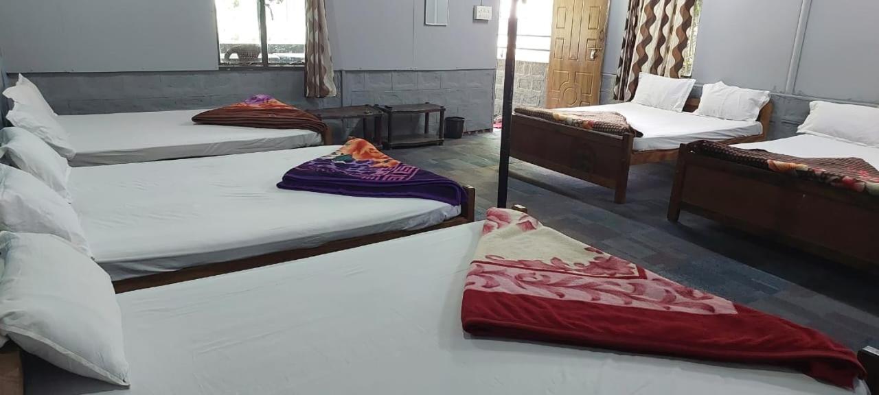 10-Bed Mixed Dormitory Room photo 1