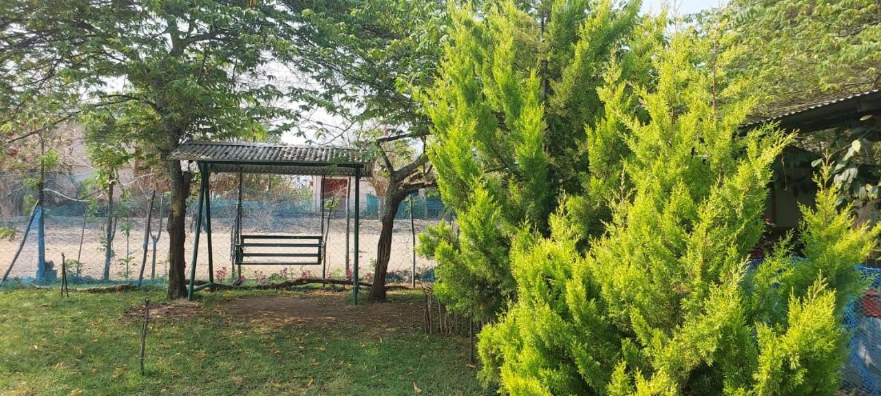 Villa with Garden View photo 3