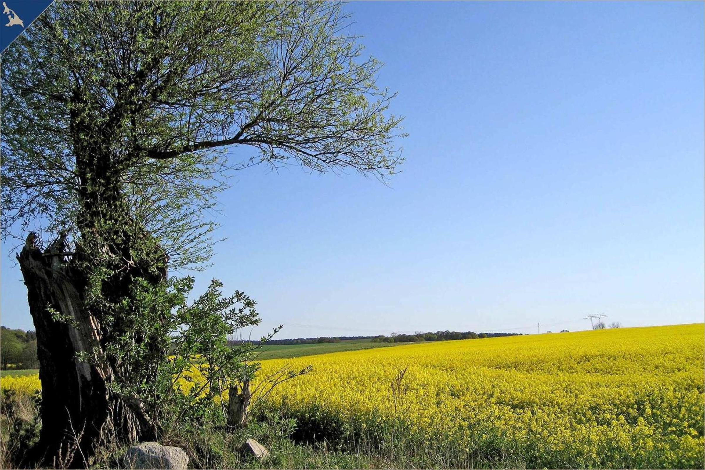 Apartment with Lake View photo 3