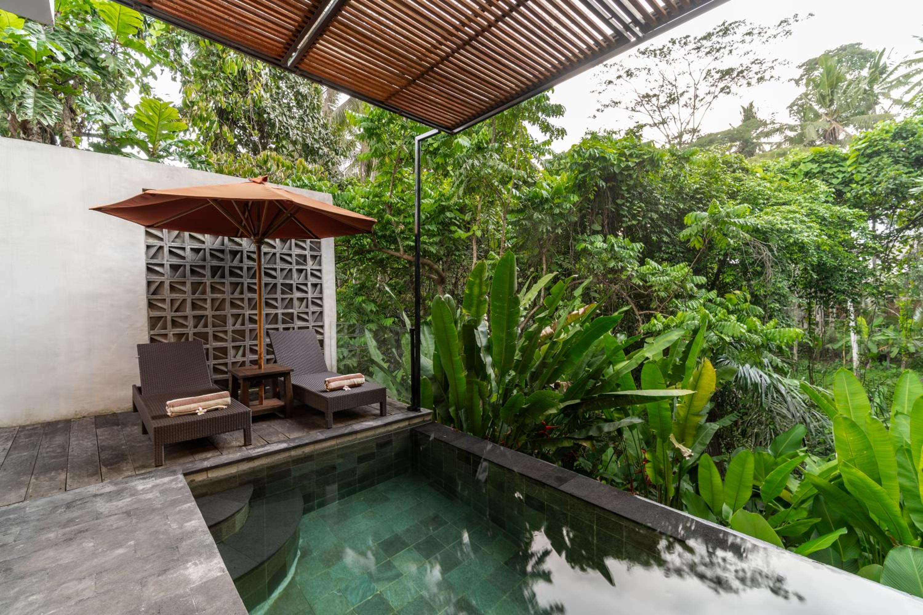 Suite with Private Pool - Photo 9