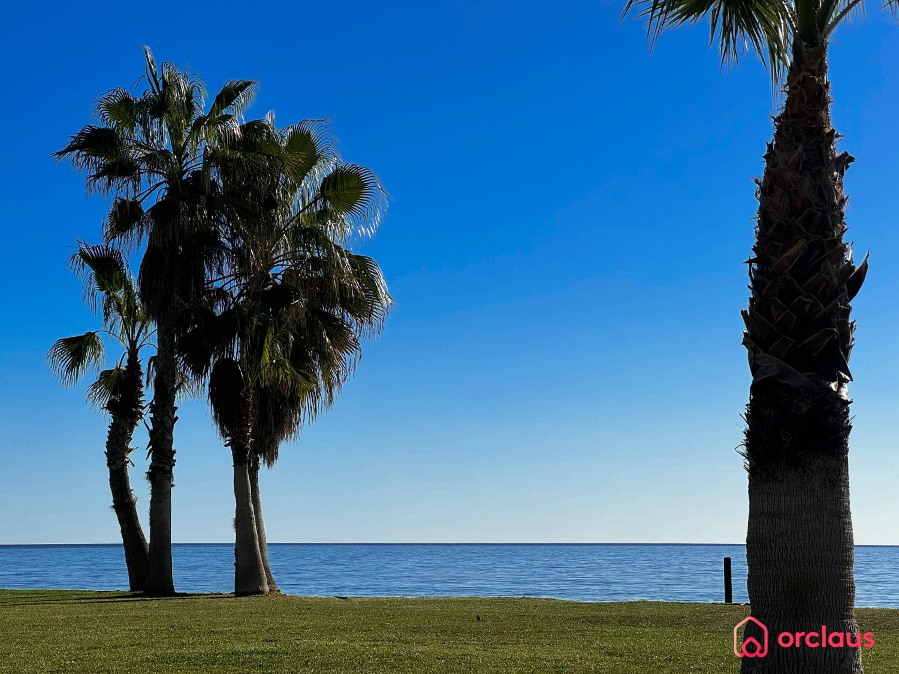 Apartment with Sea View photo 2