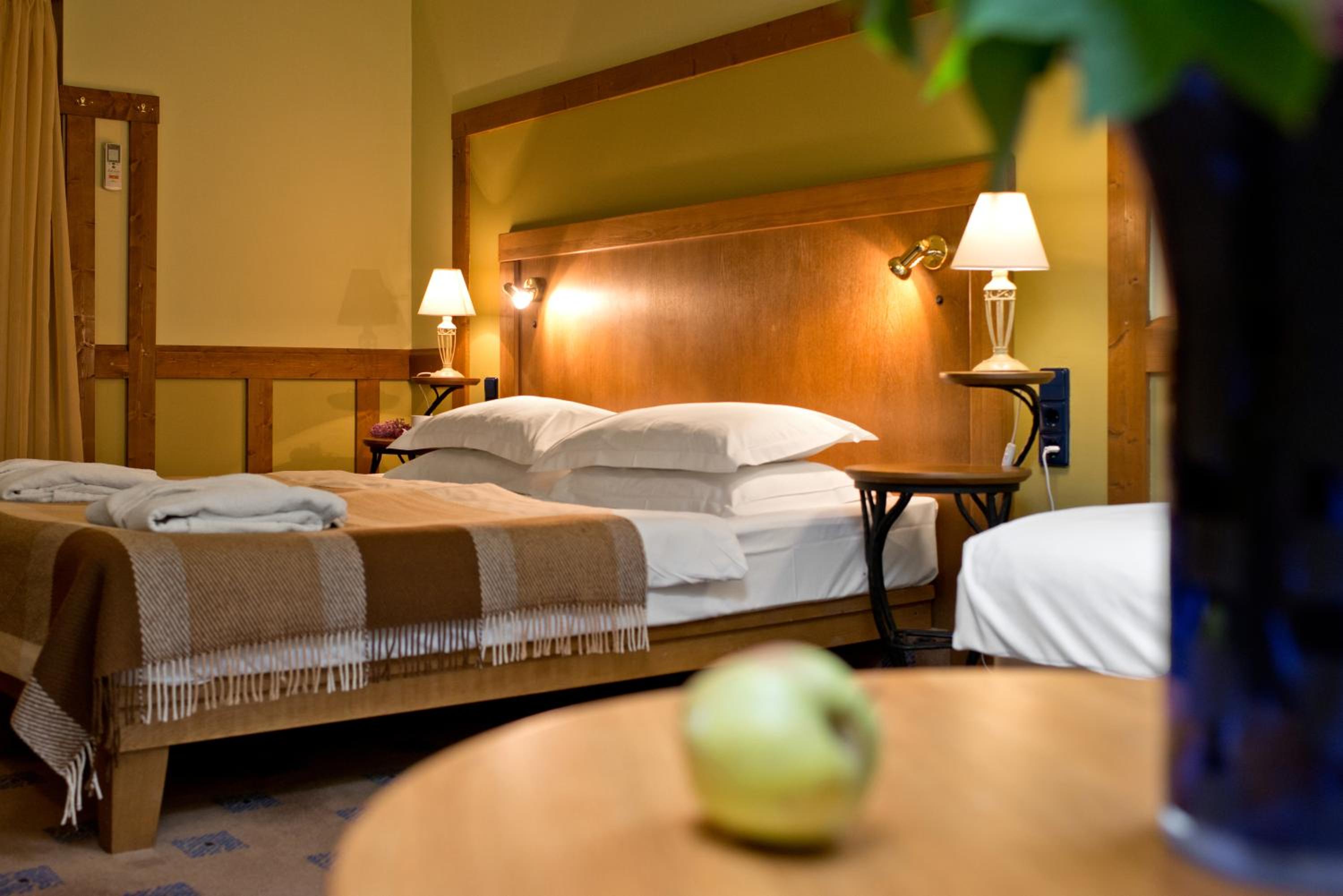 Double or Twin Room with Sauna and Jacuzzi access - Photo 3