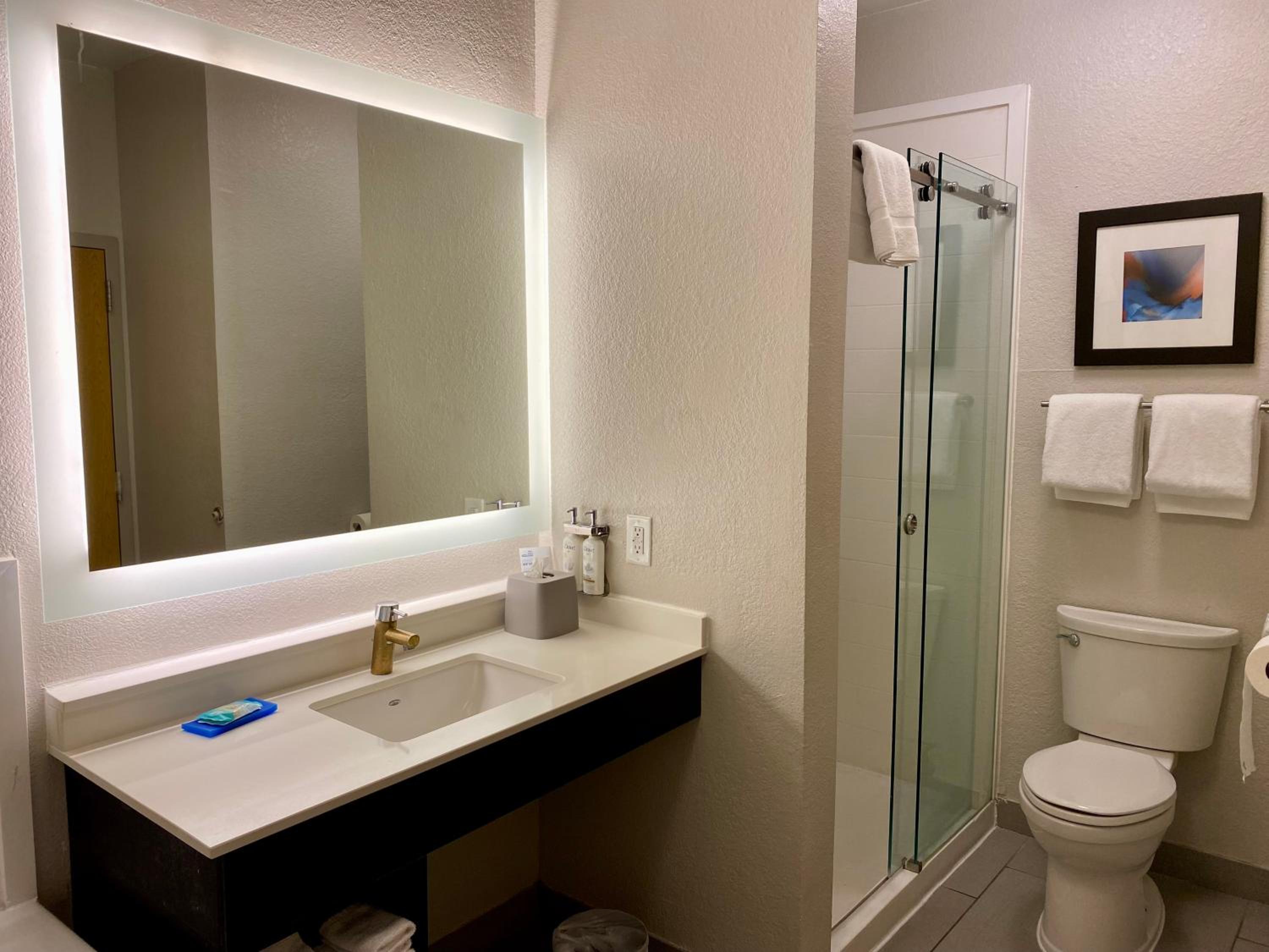 King Suite with Jetted Tub - Photo 6