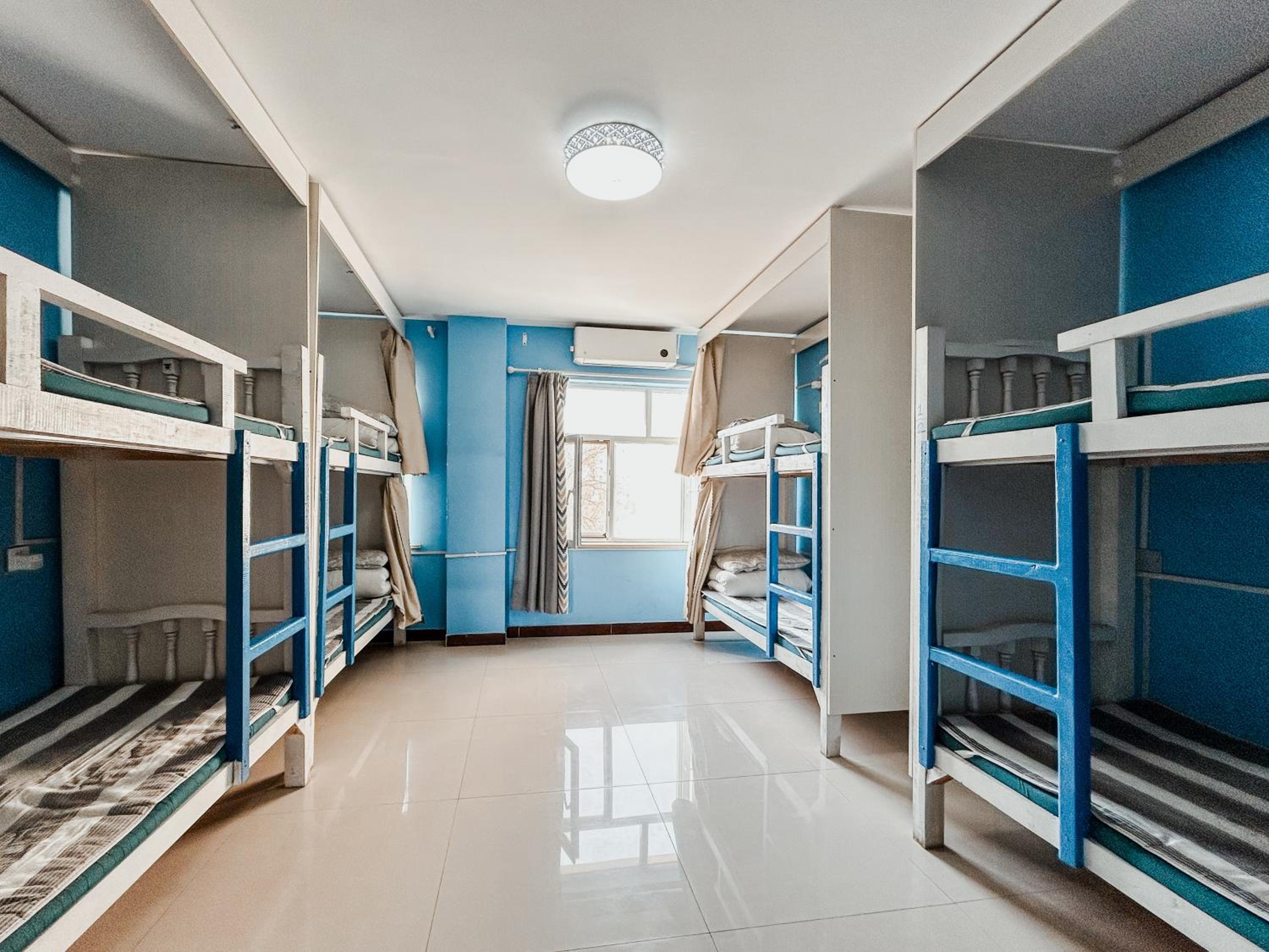 Bunk Bed in 8-Bed Female Dormitory Room photo 1