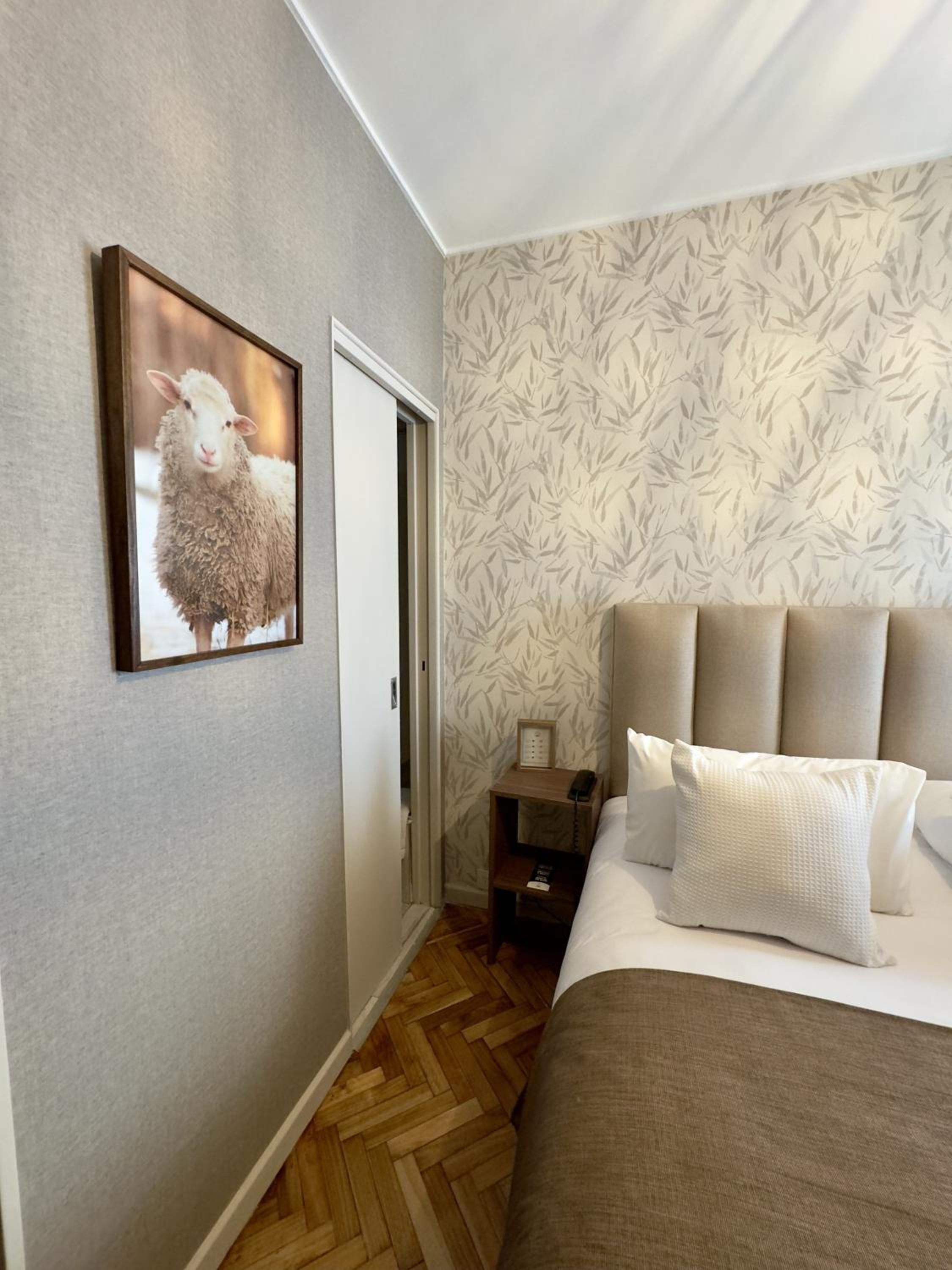 Superior Single Room
