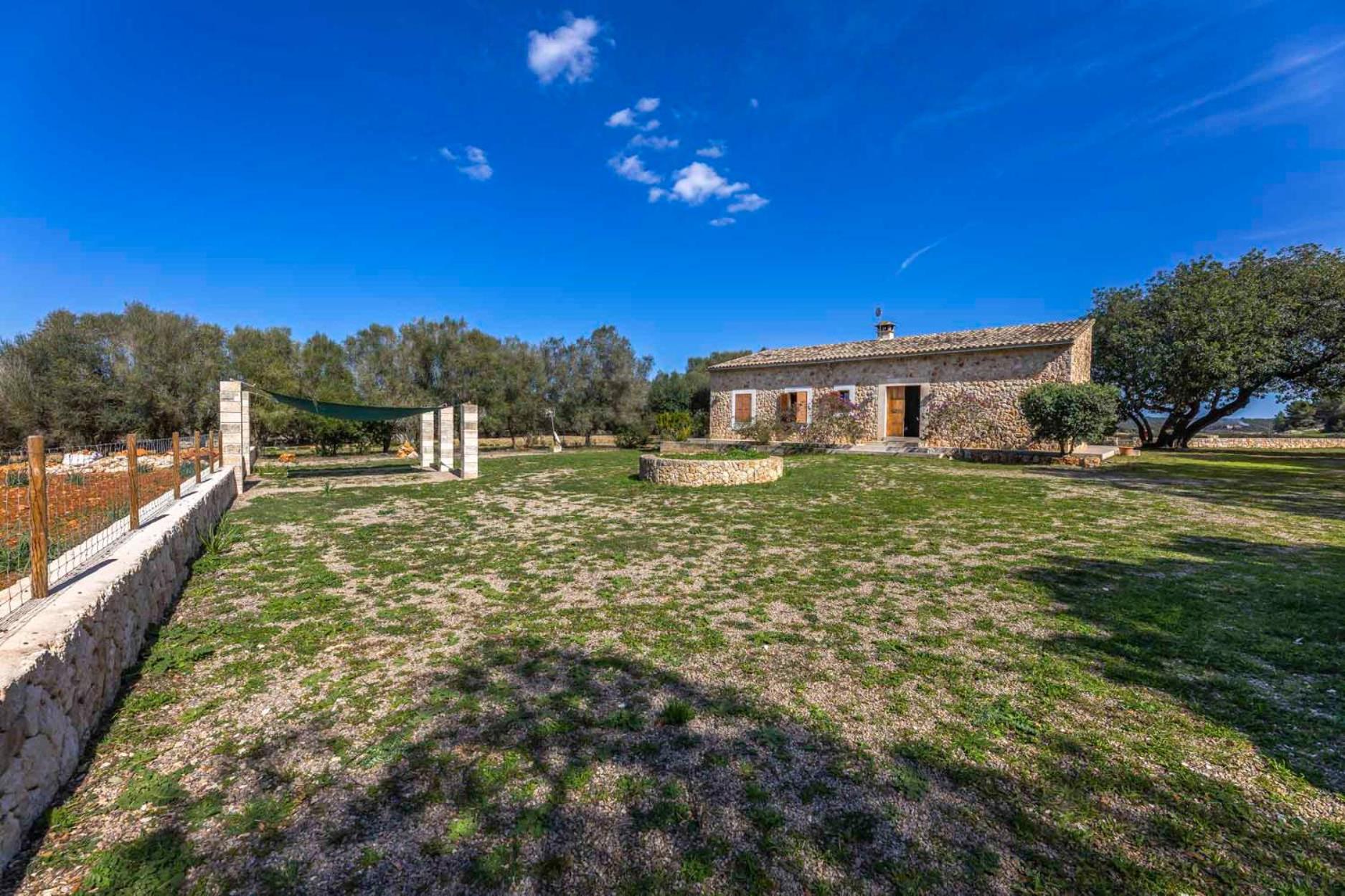 Three-Bedroom House photo 2
