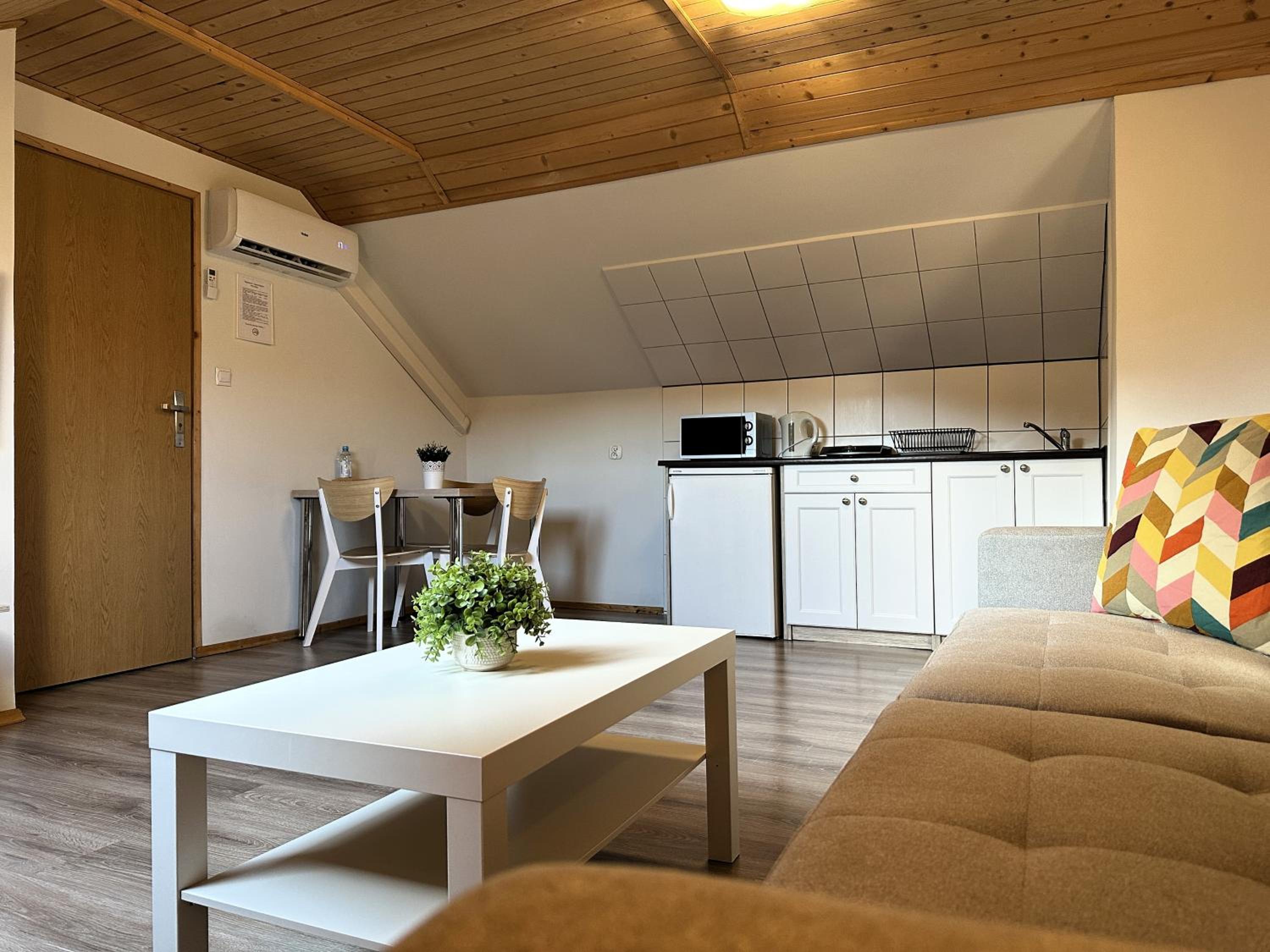 Penthouse Apartment photo 3